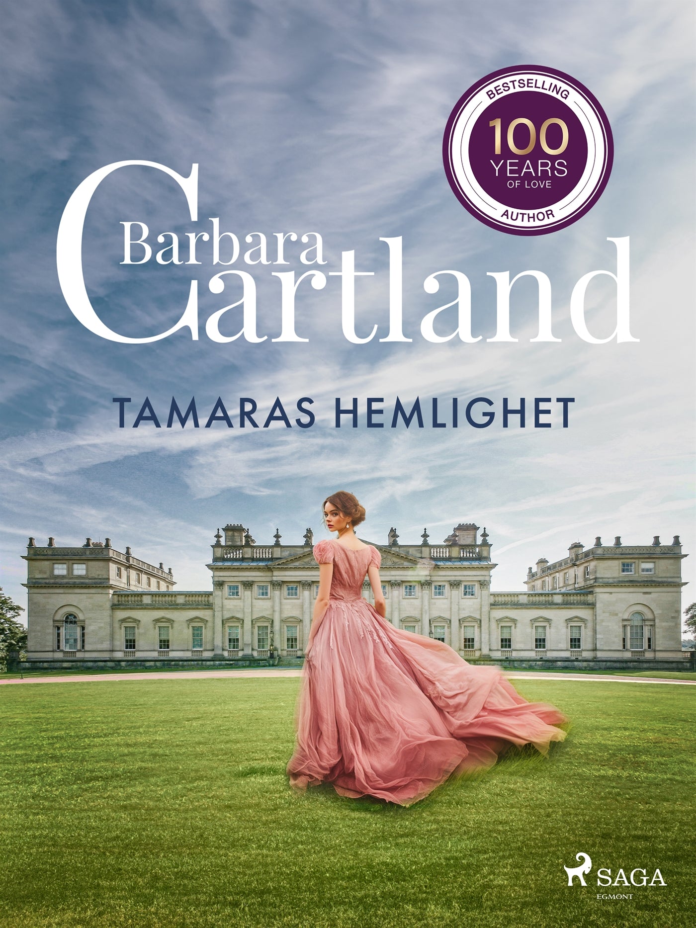 Tamaras hemlighet – E-bok