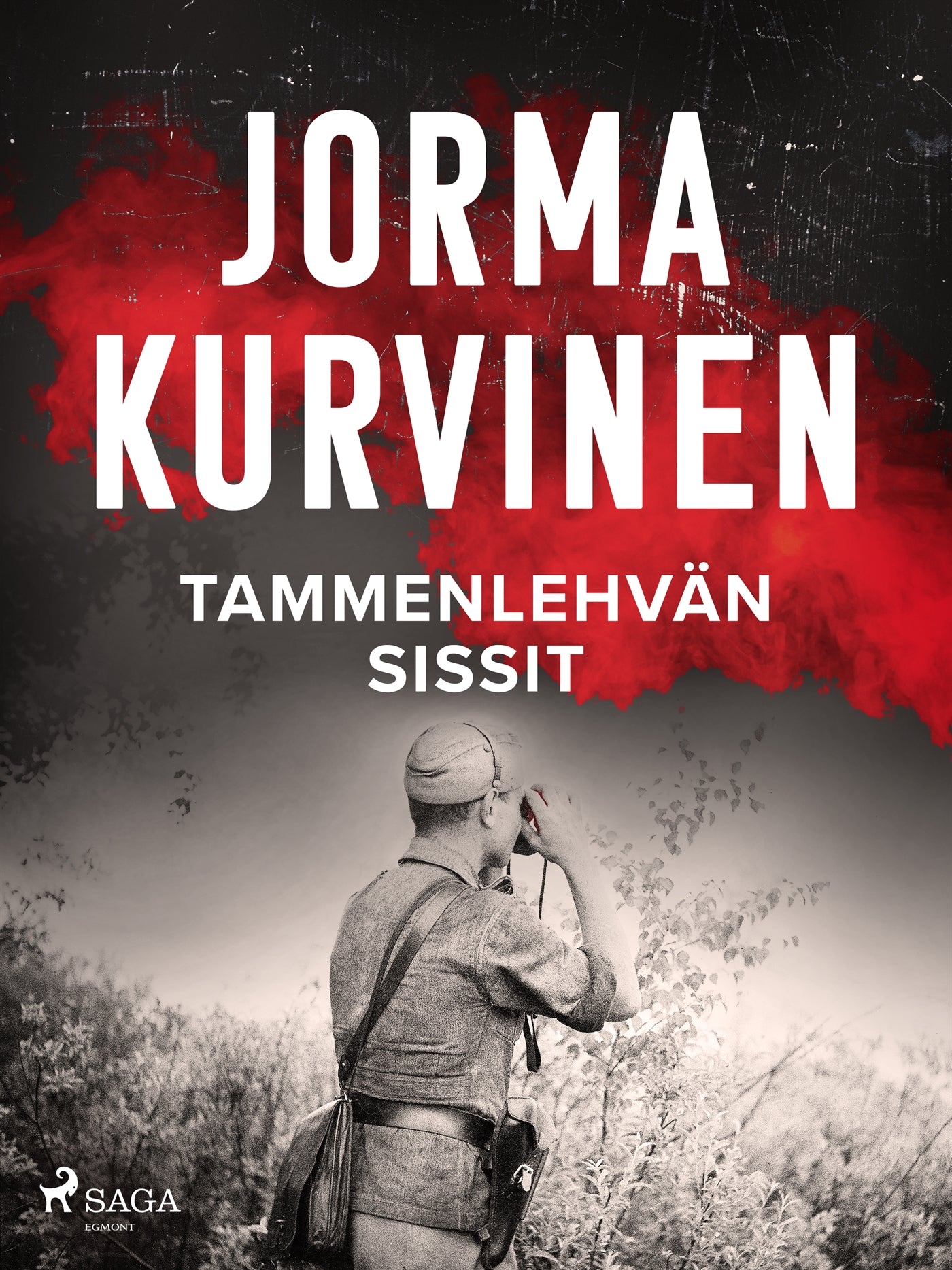 Tammenlehvän sissit – E-bok