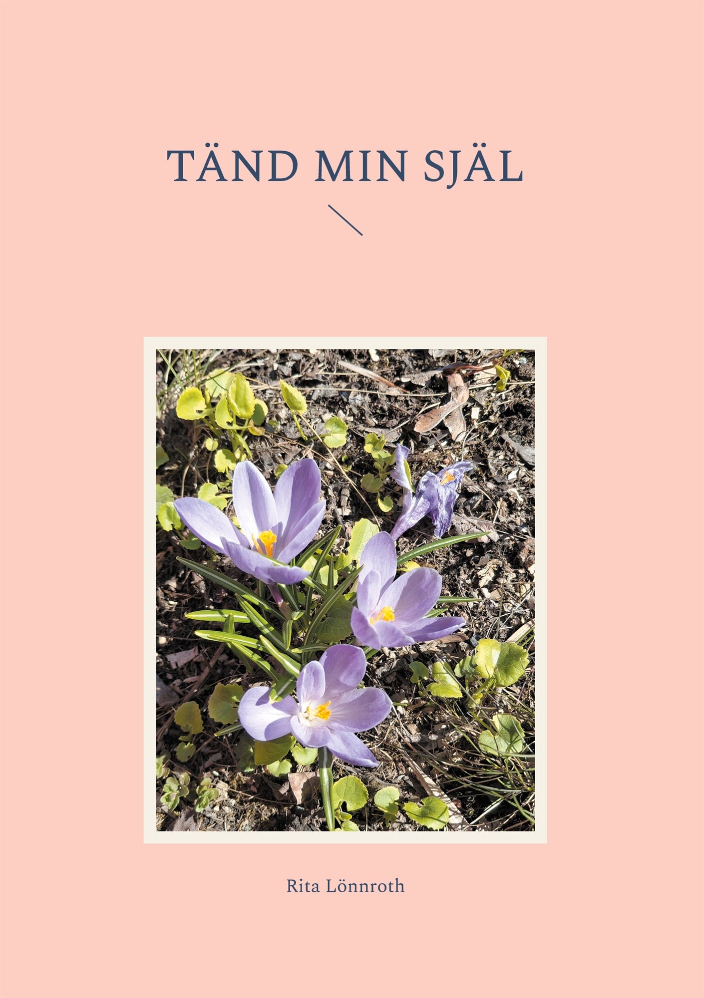 Tänd min själ – E-bok