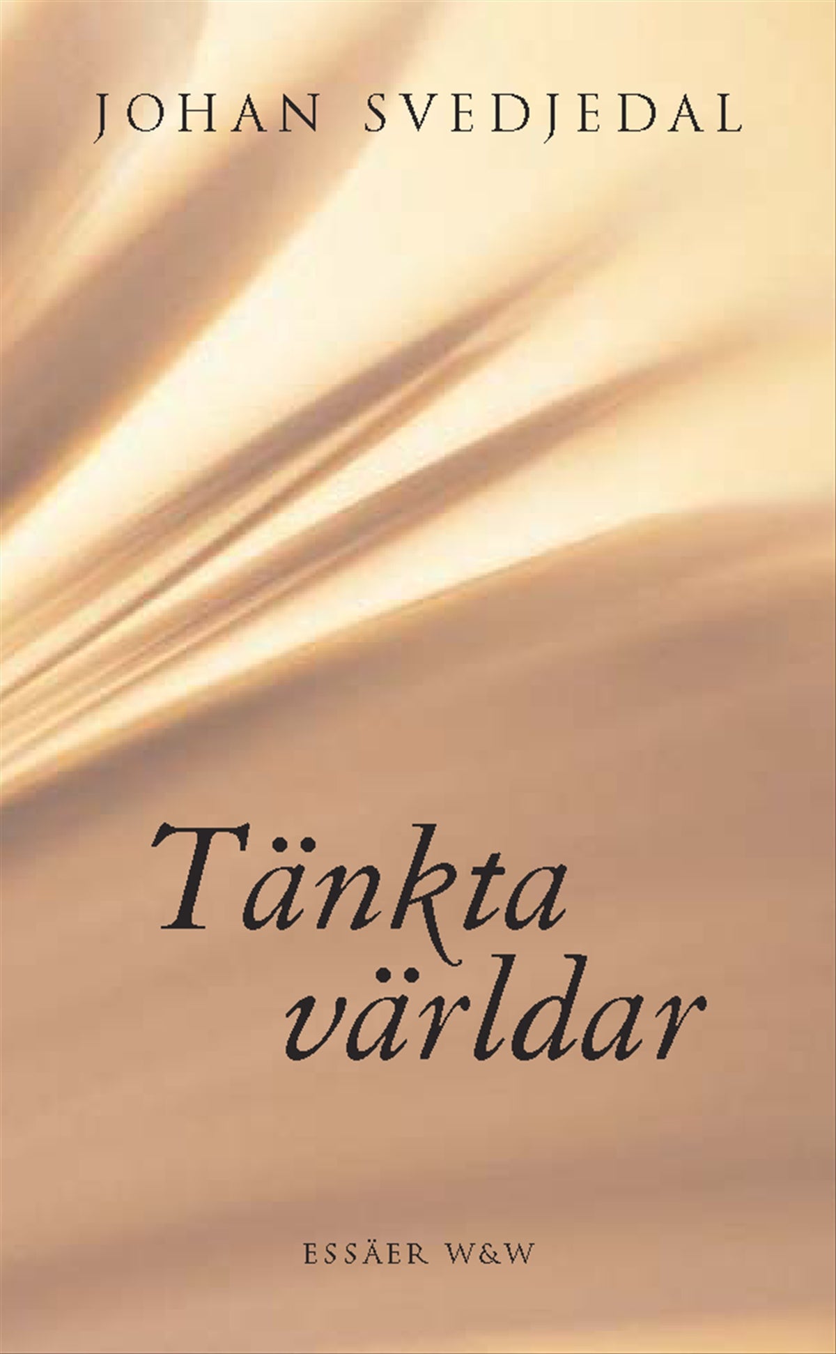 Tänkta världar – E-bok