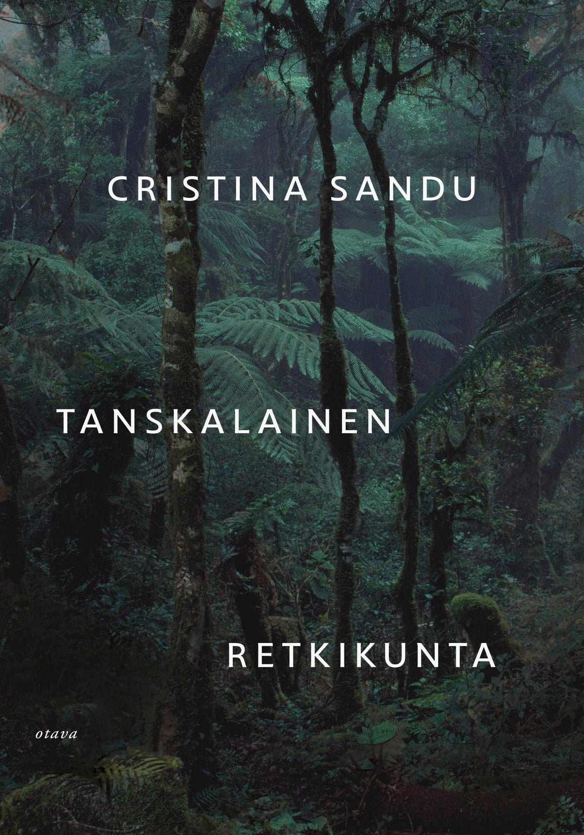 Tanskalainen retkikunta – E-bok