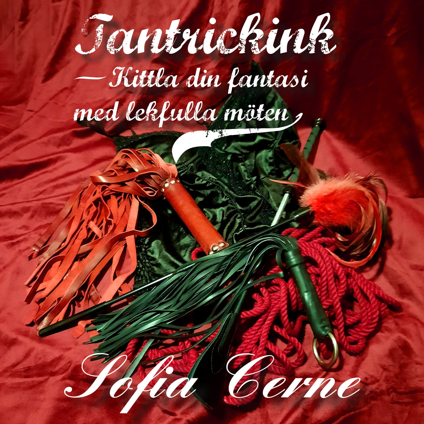 Tantrickink - Kittla din fantasi med lekfulla möten – Ljudbok