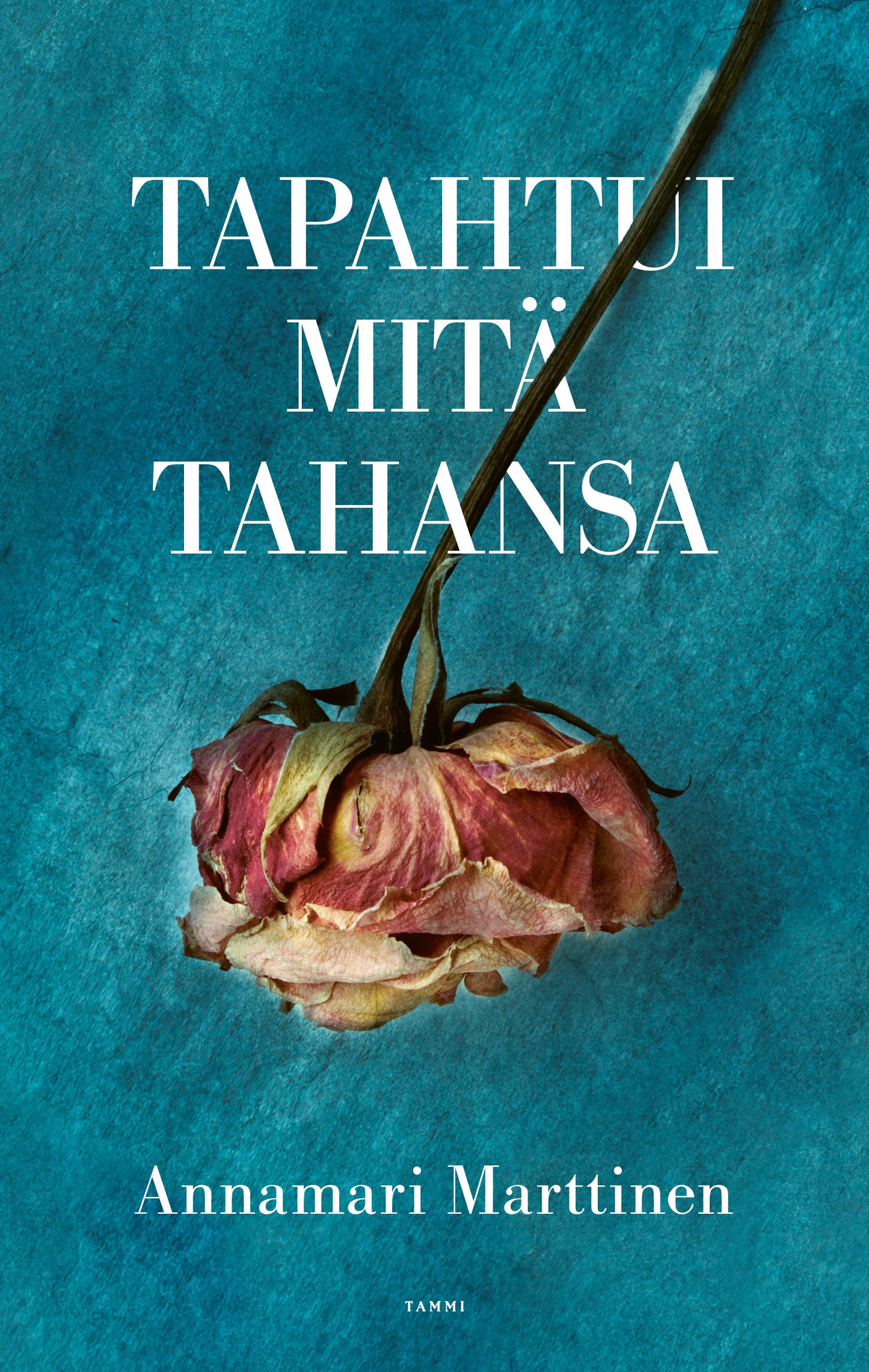 Tapahtui mitä tahansa – E-bok