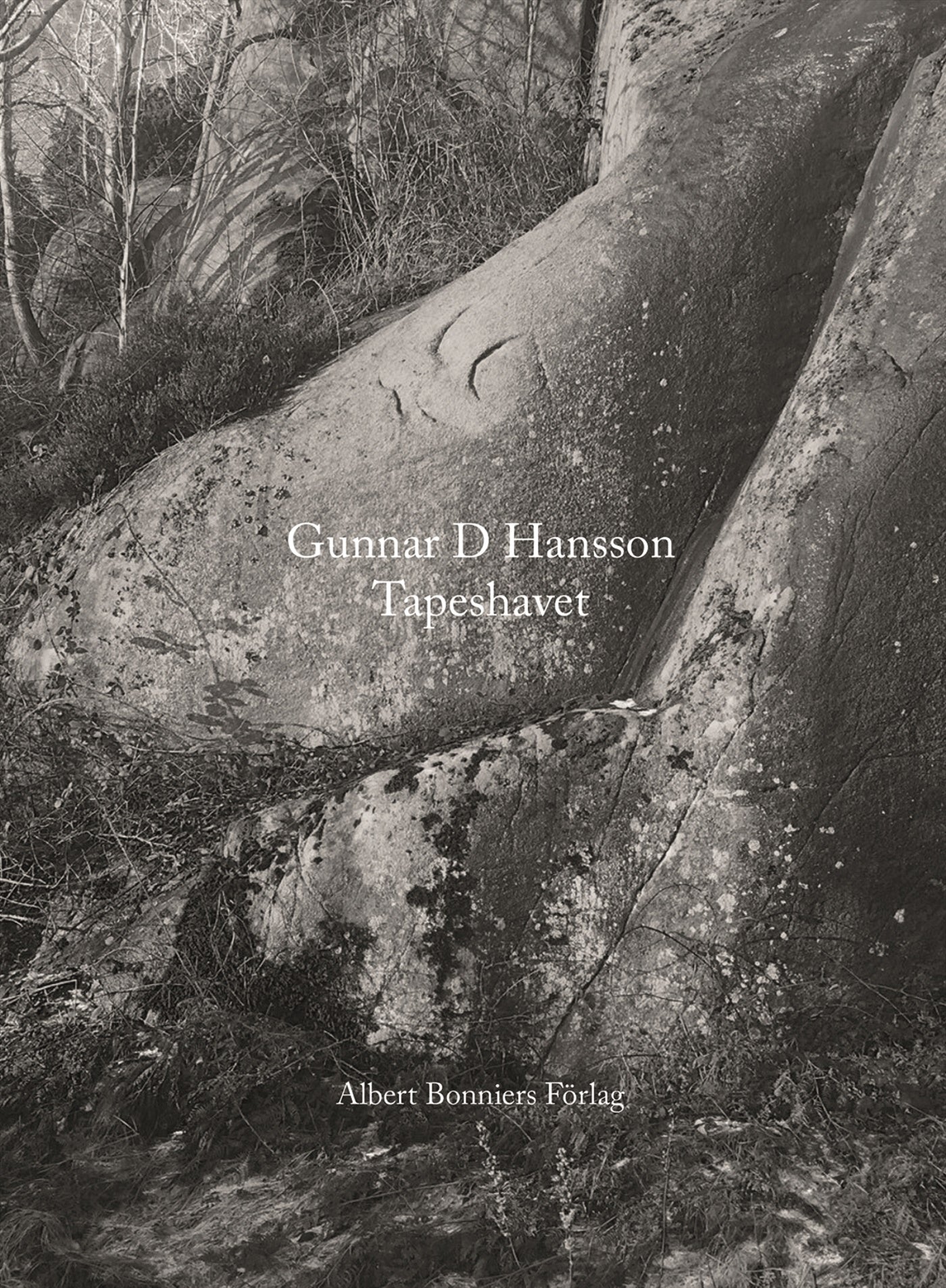 Tapeshavet – E-bok