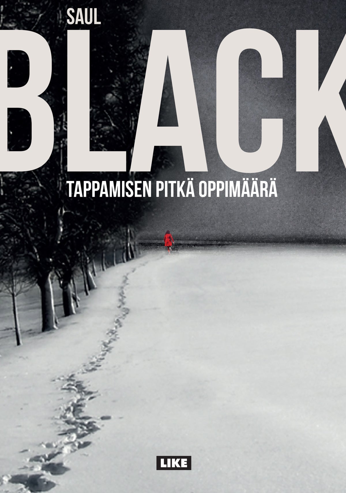 Tappamisen pitkä oppimäärä – E-bok