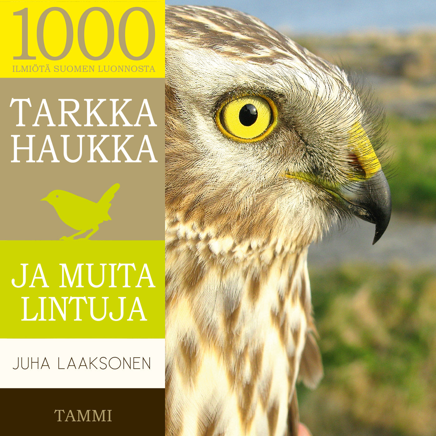 Tarkka haukka ja muita lintuja – Ljudbok
