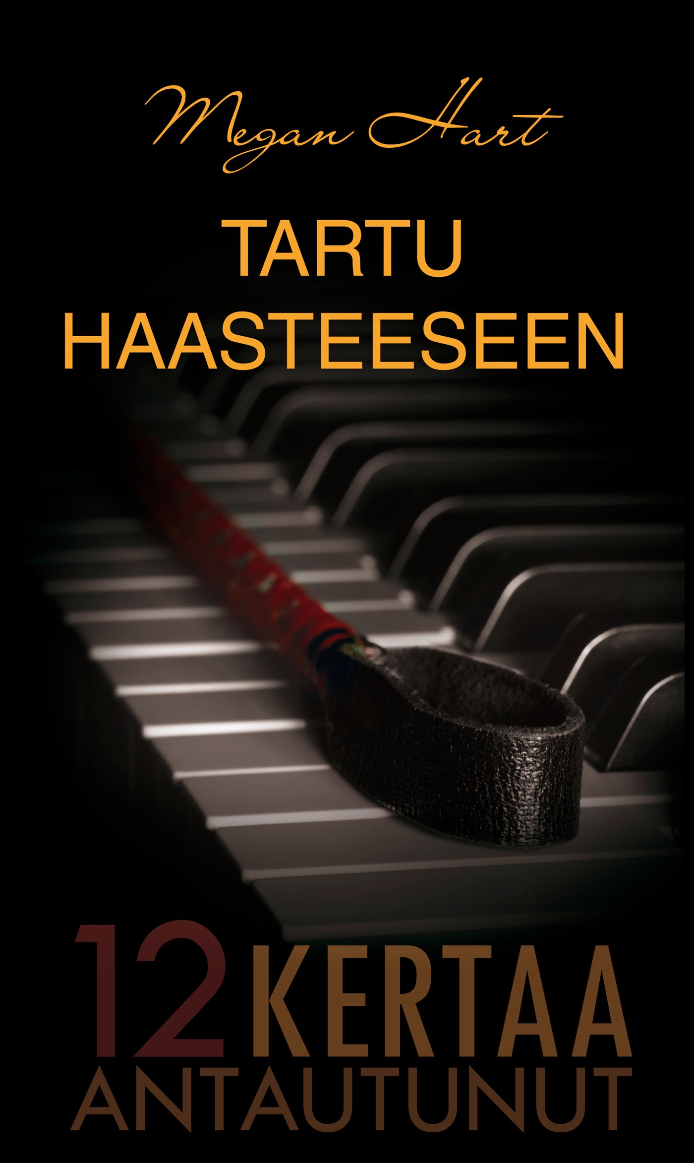 Tartu haasteeseen – E-bok