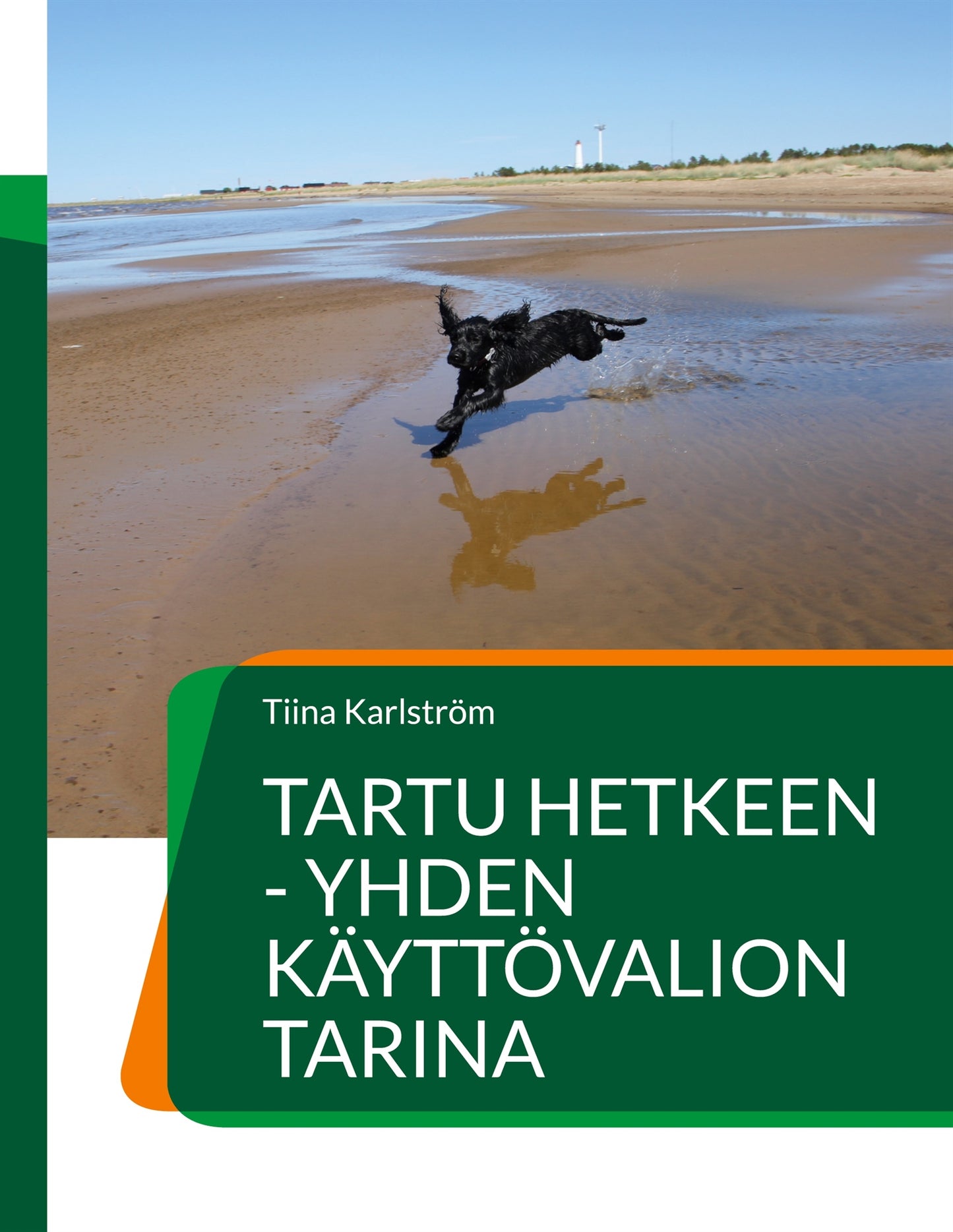 Tartu hetkeen - yhden käyttövalion tarina – E-bok
