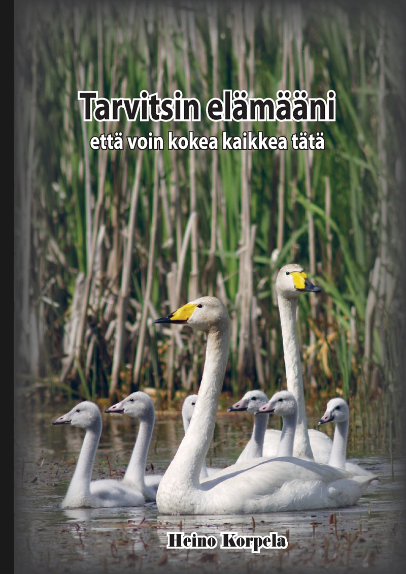 Tarvitsin elämääni: että voin kokea kaikkea tätä – E-bok
