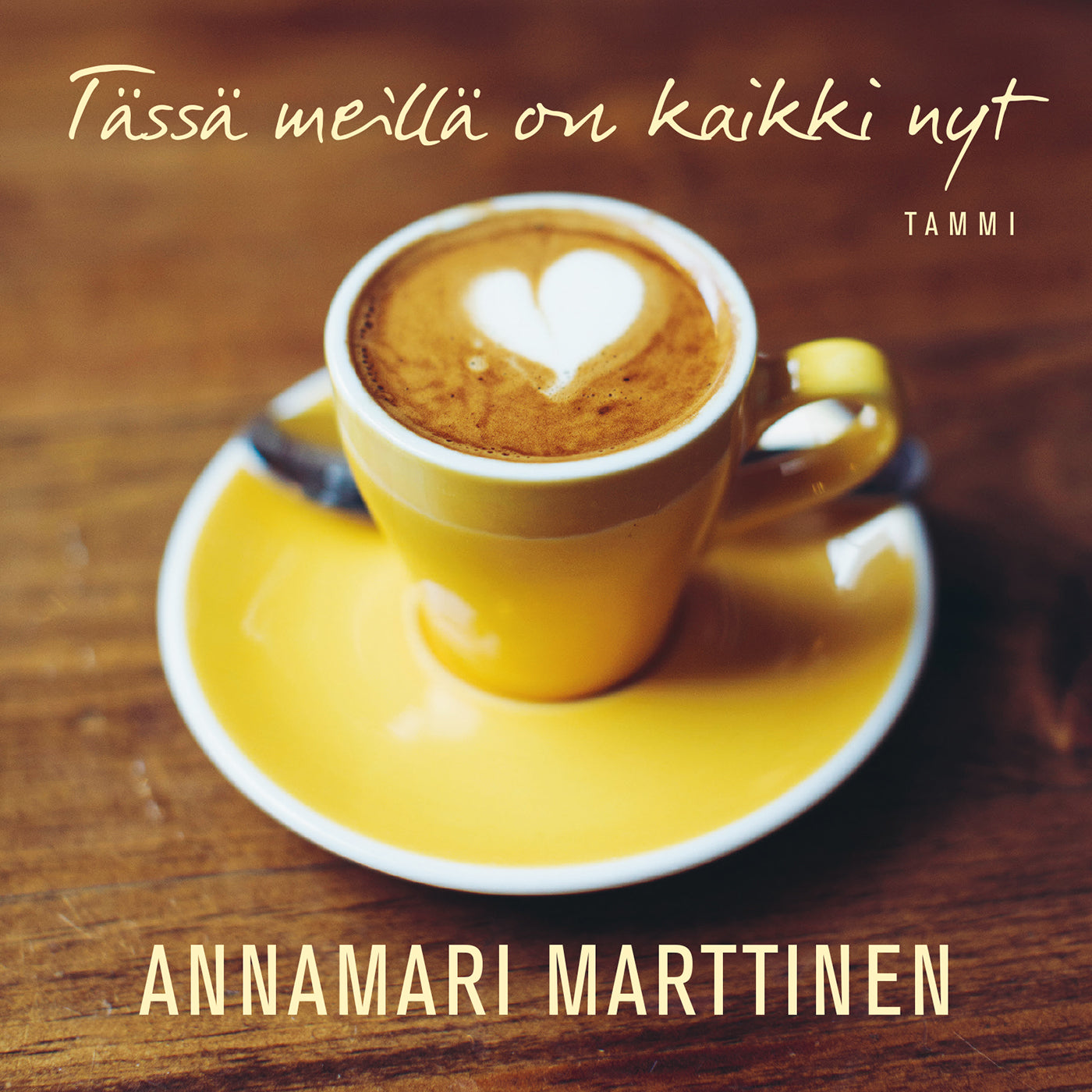 Tässä meillä on kaikki nyt – Ljudbok