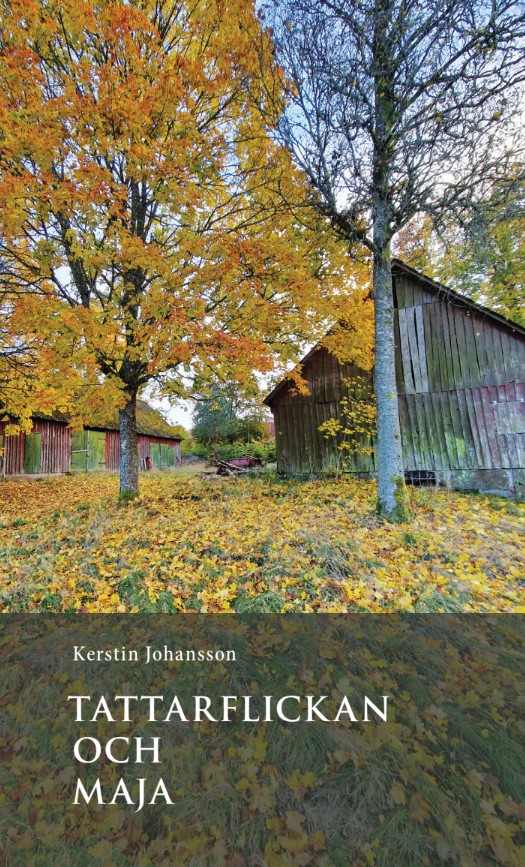 Tattarflickan och Maja – E-bok