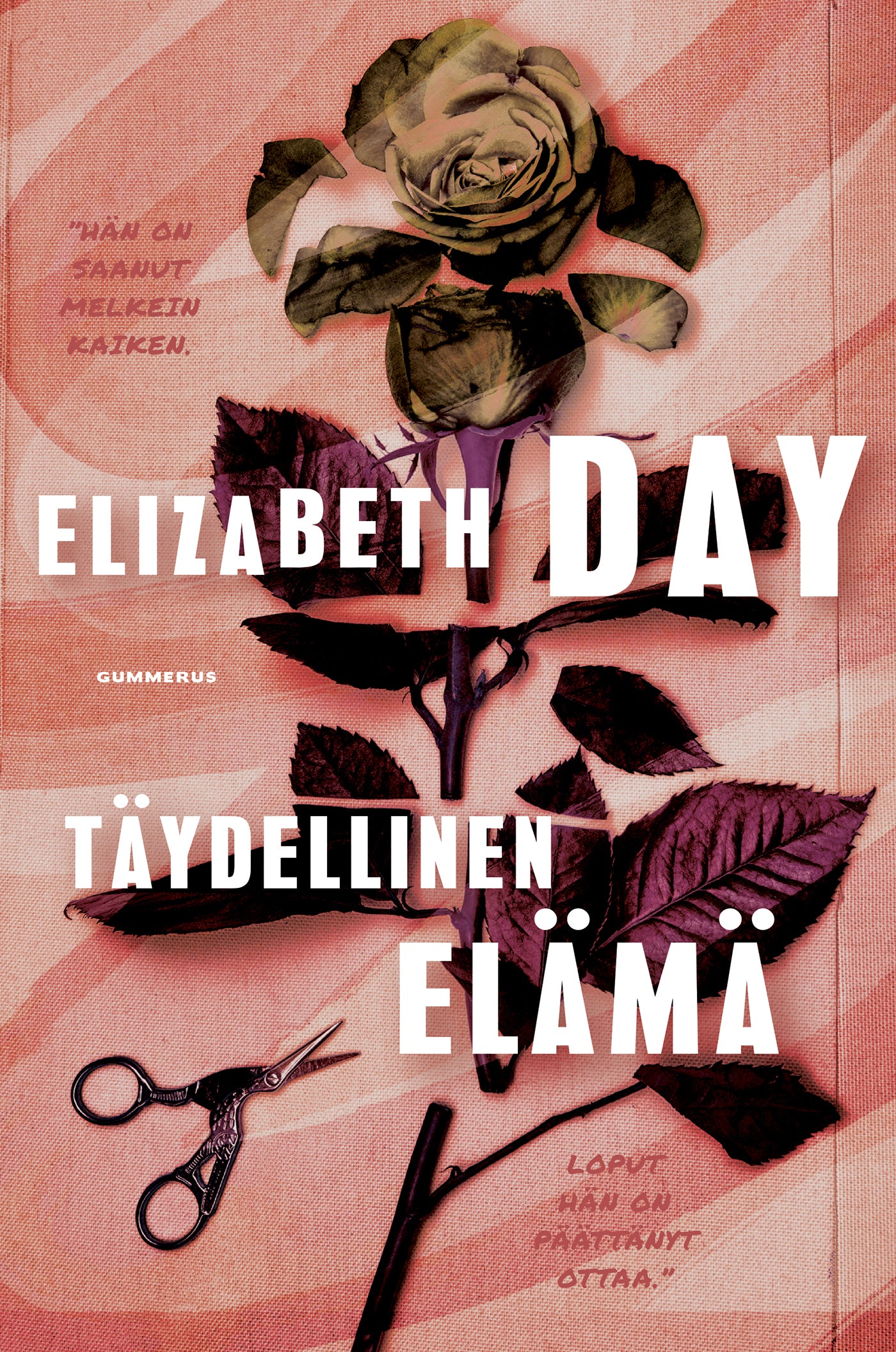Täydellinen elämä – E-bok
