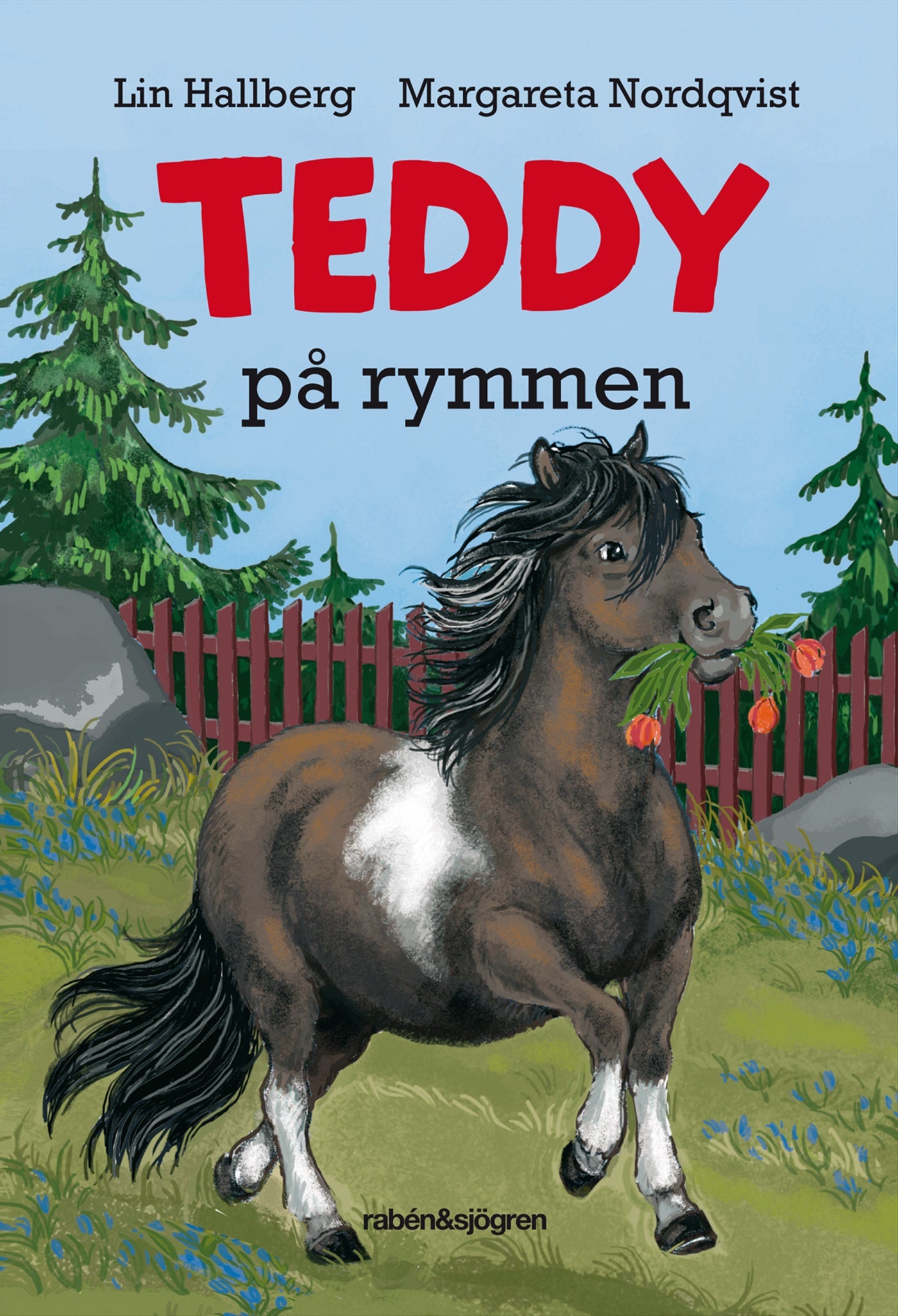Teddy på rymmen – E-bok