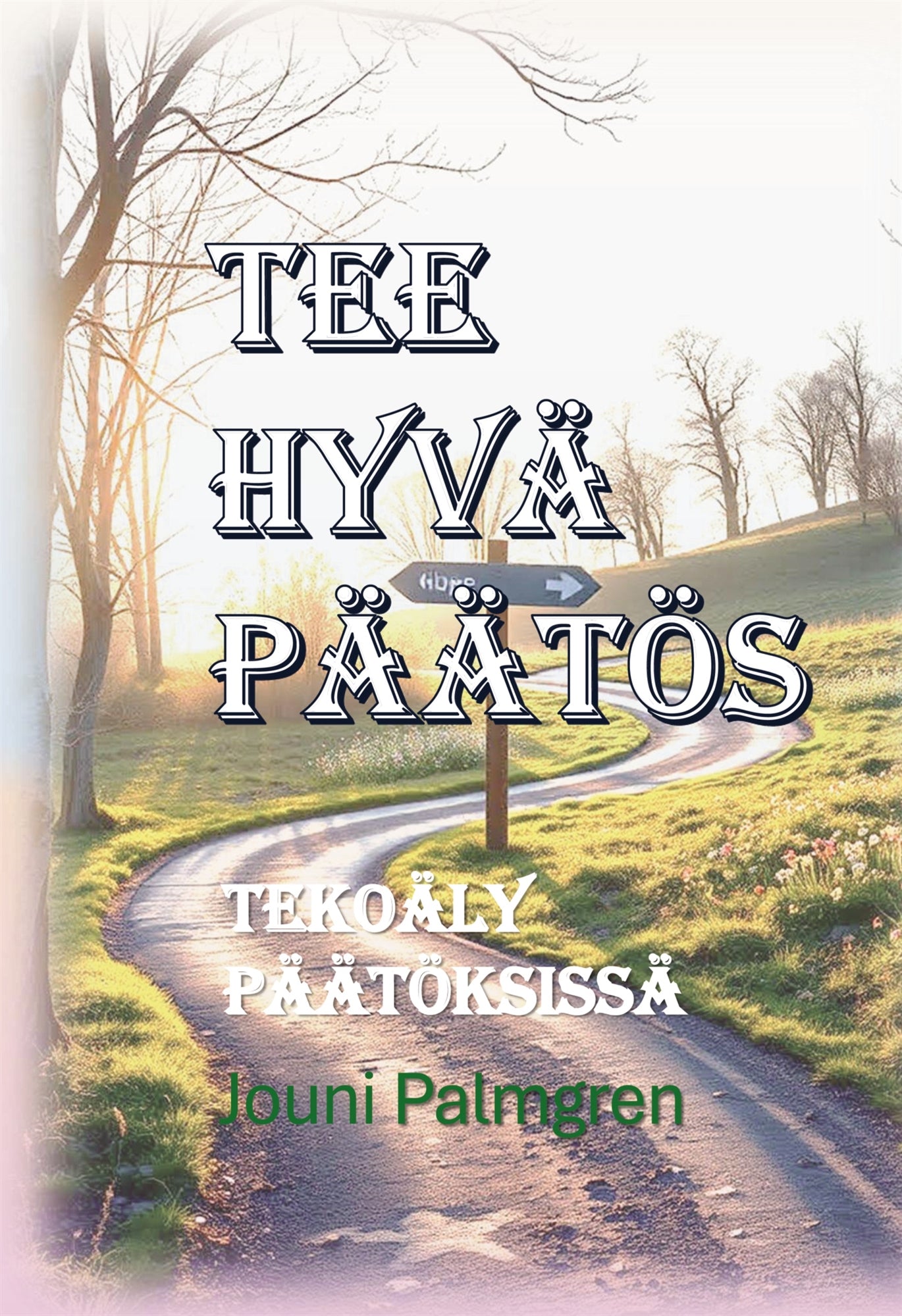 Tee hyvä päätös: Tekoäly päätöksissä – E-bok