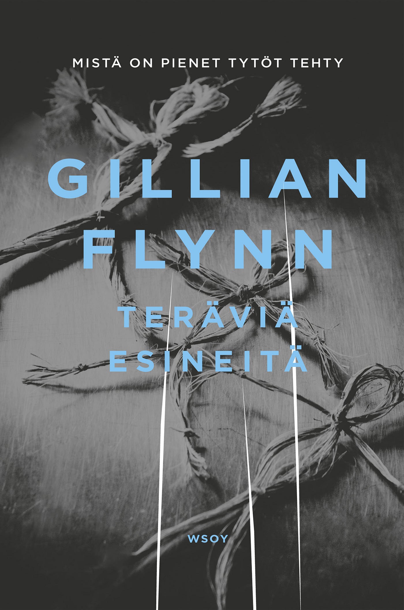 Teräviä esineitä – E-bok