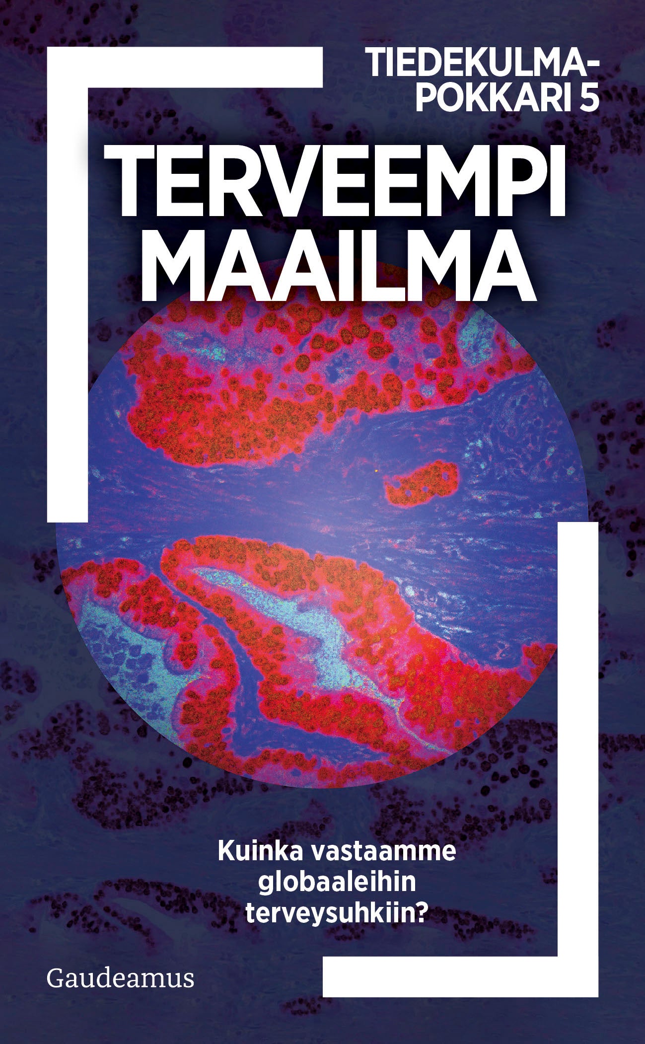 Terveempi maailma – E-bok