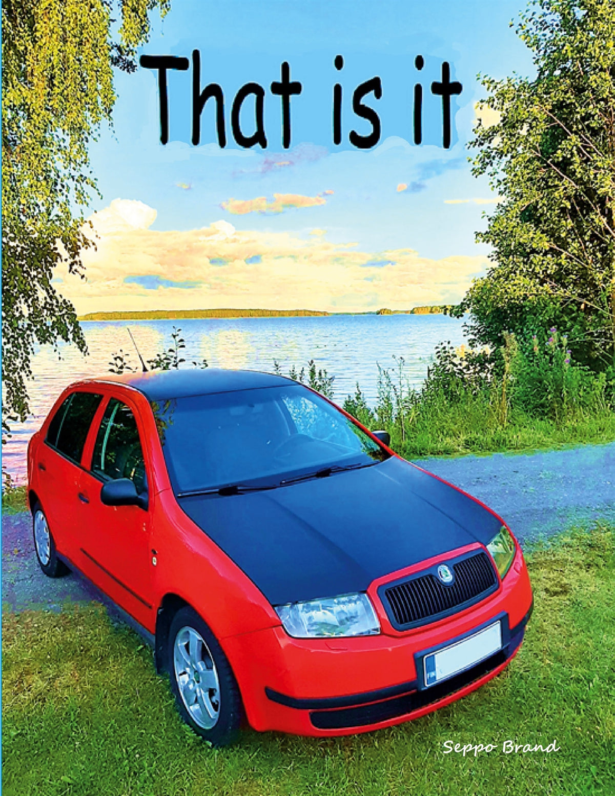 That is it – E-bok