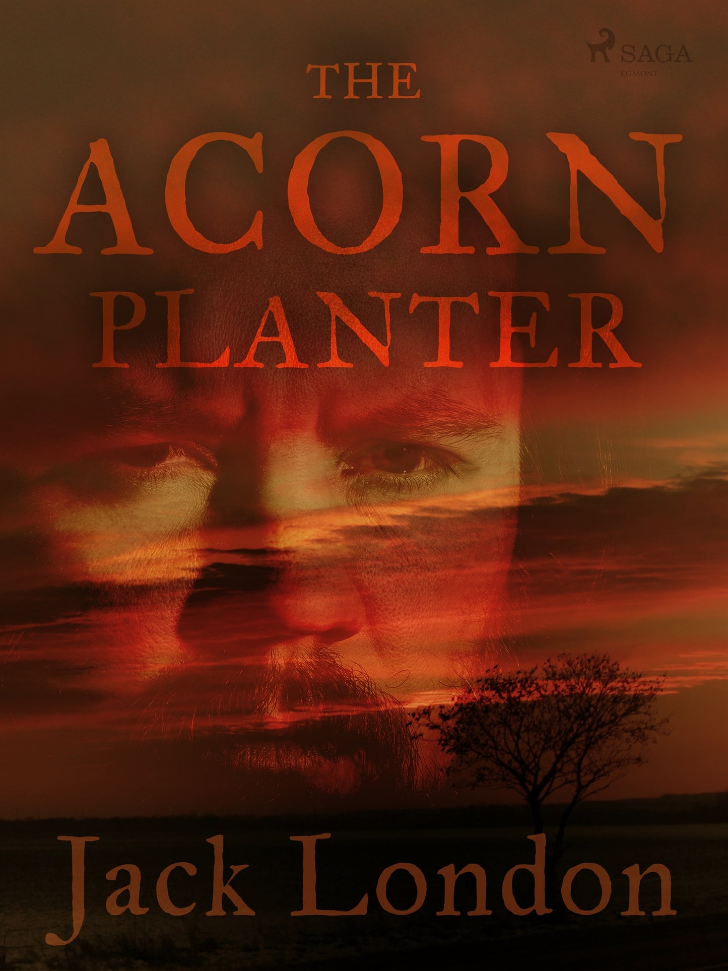 The Acorn Planter – E-bok