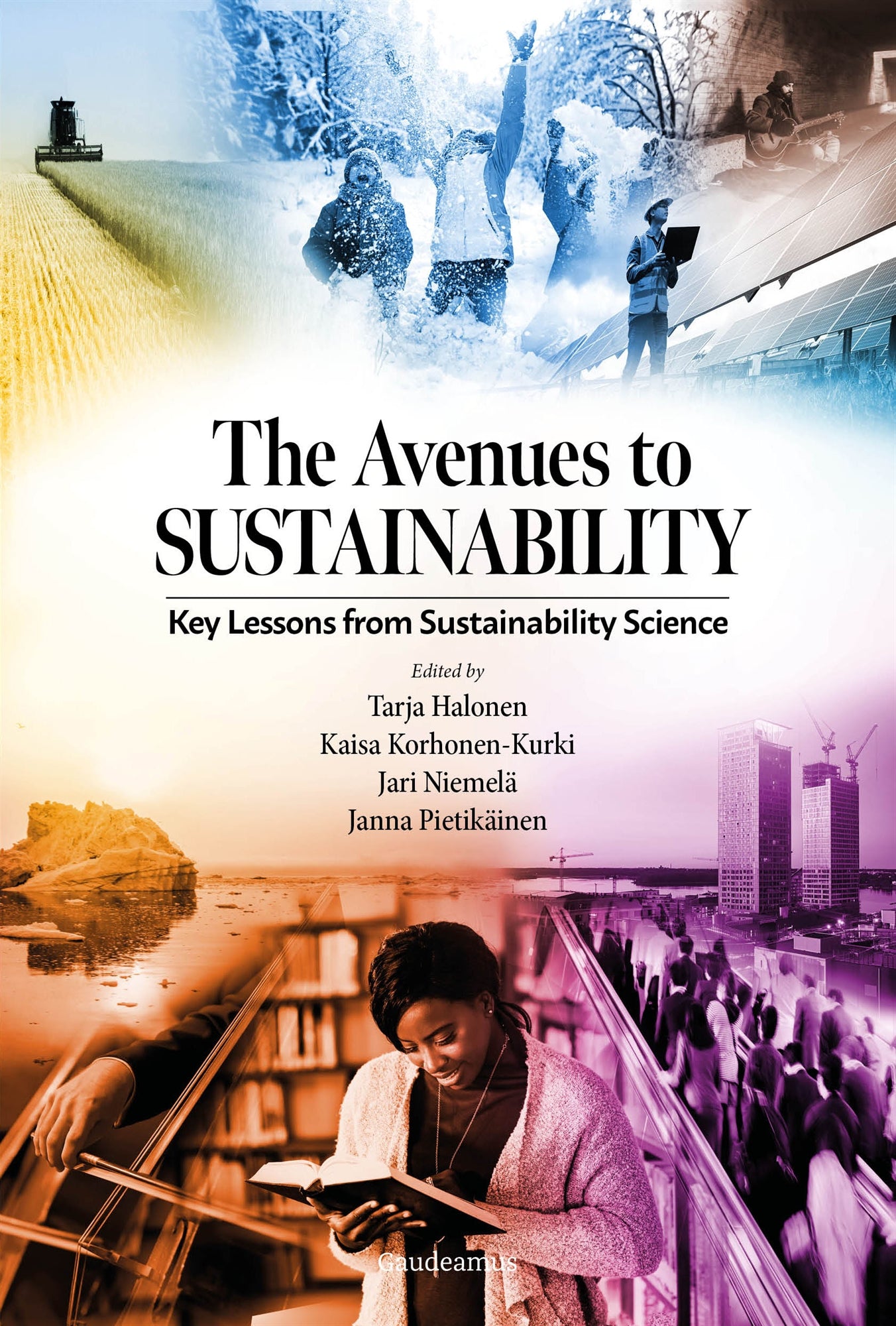 The Avenues to Sustainability – E-bok