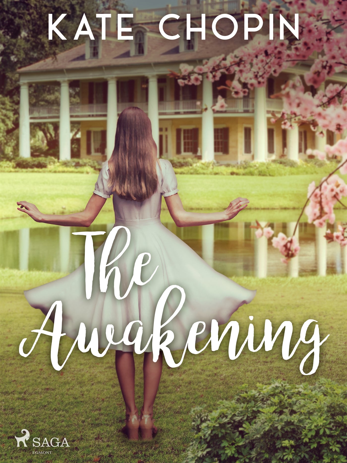 The Awakening – E-bok