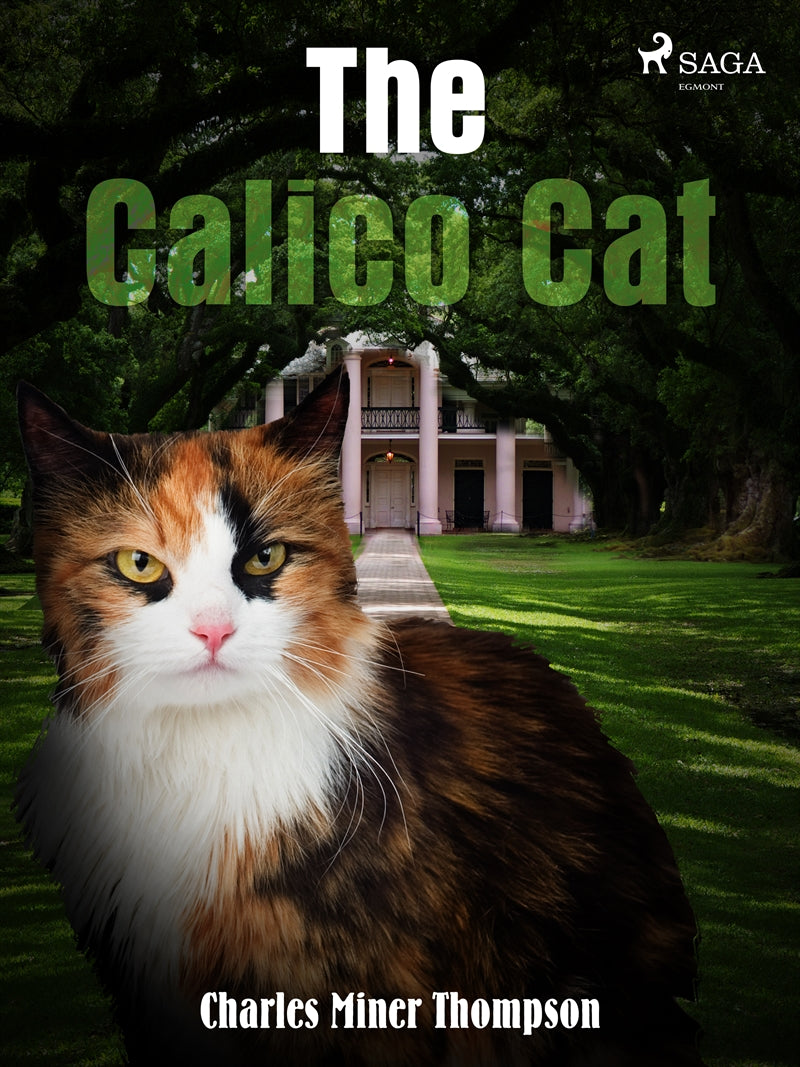 The Calico Cat – E-bok