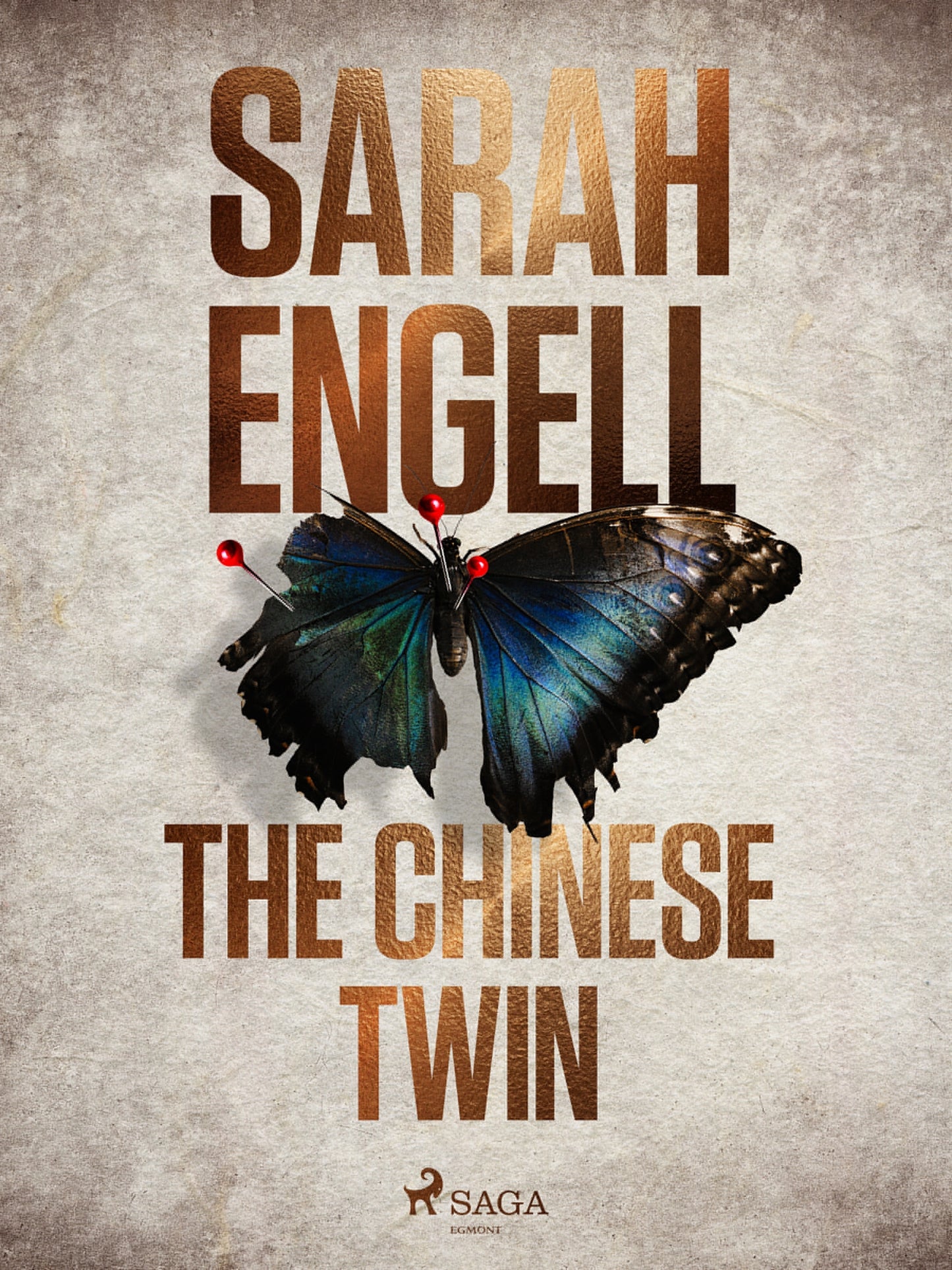 The Chinese Twin – E-bok