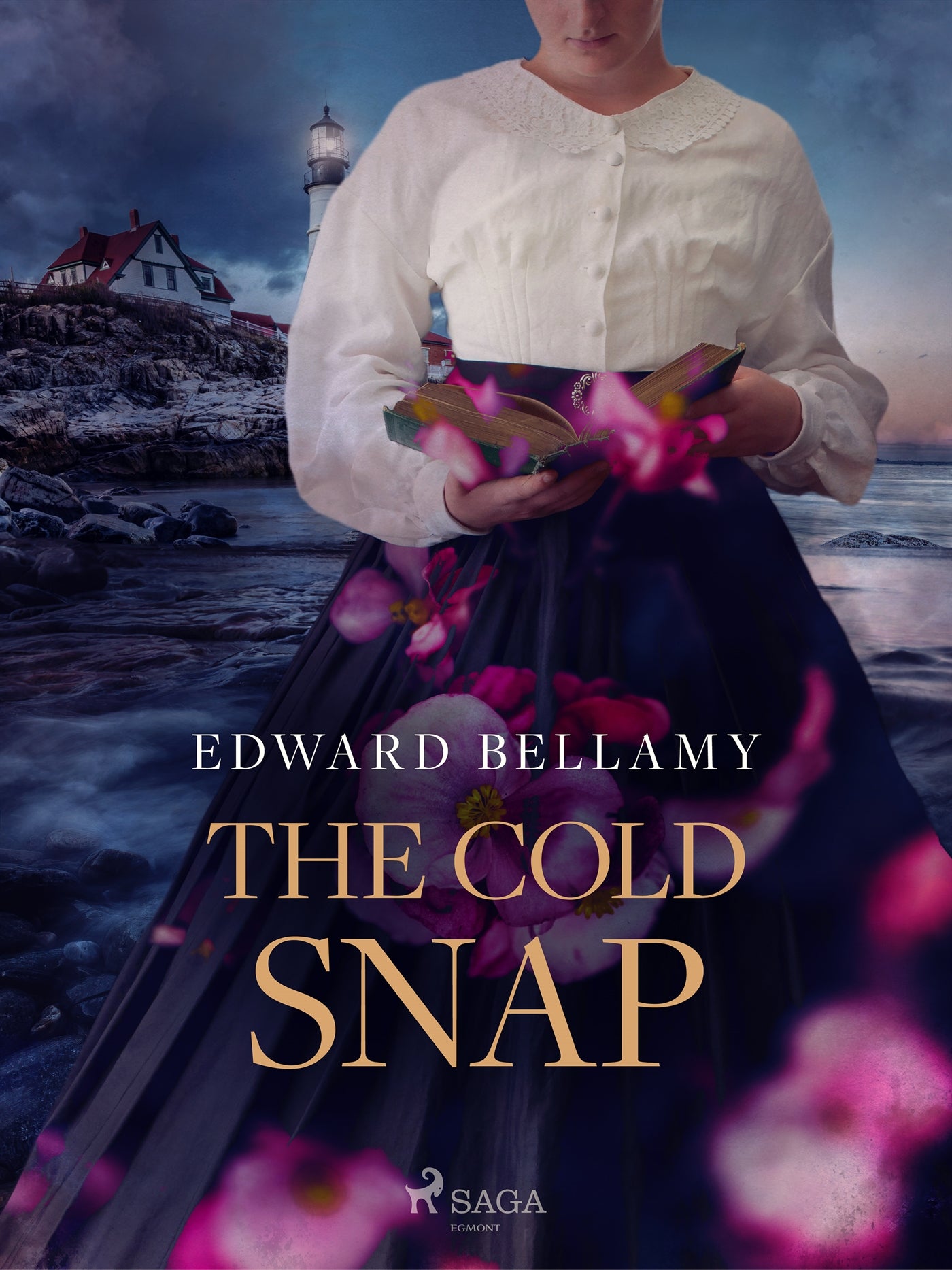 The Cold Snap – E-bok