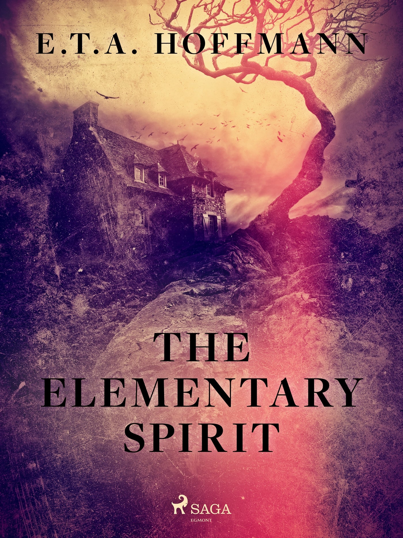 The Elementary Spirit – E-bok
