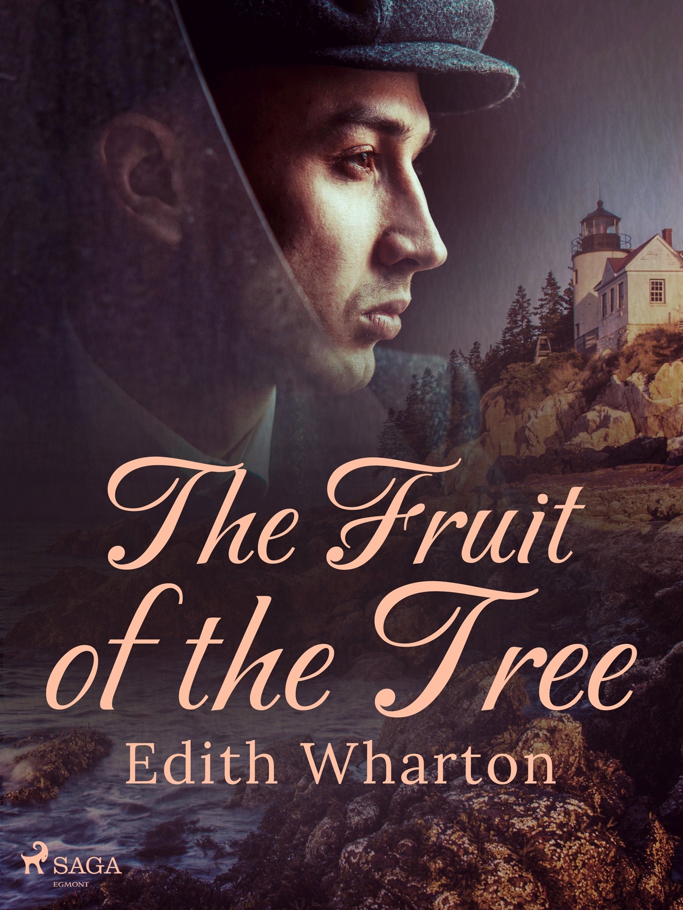 The Fruit of the Tree – E-bok