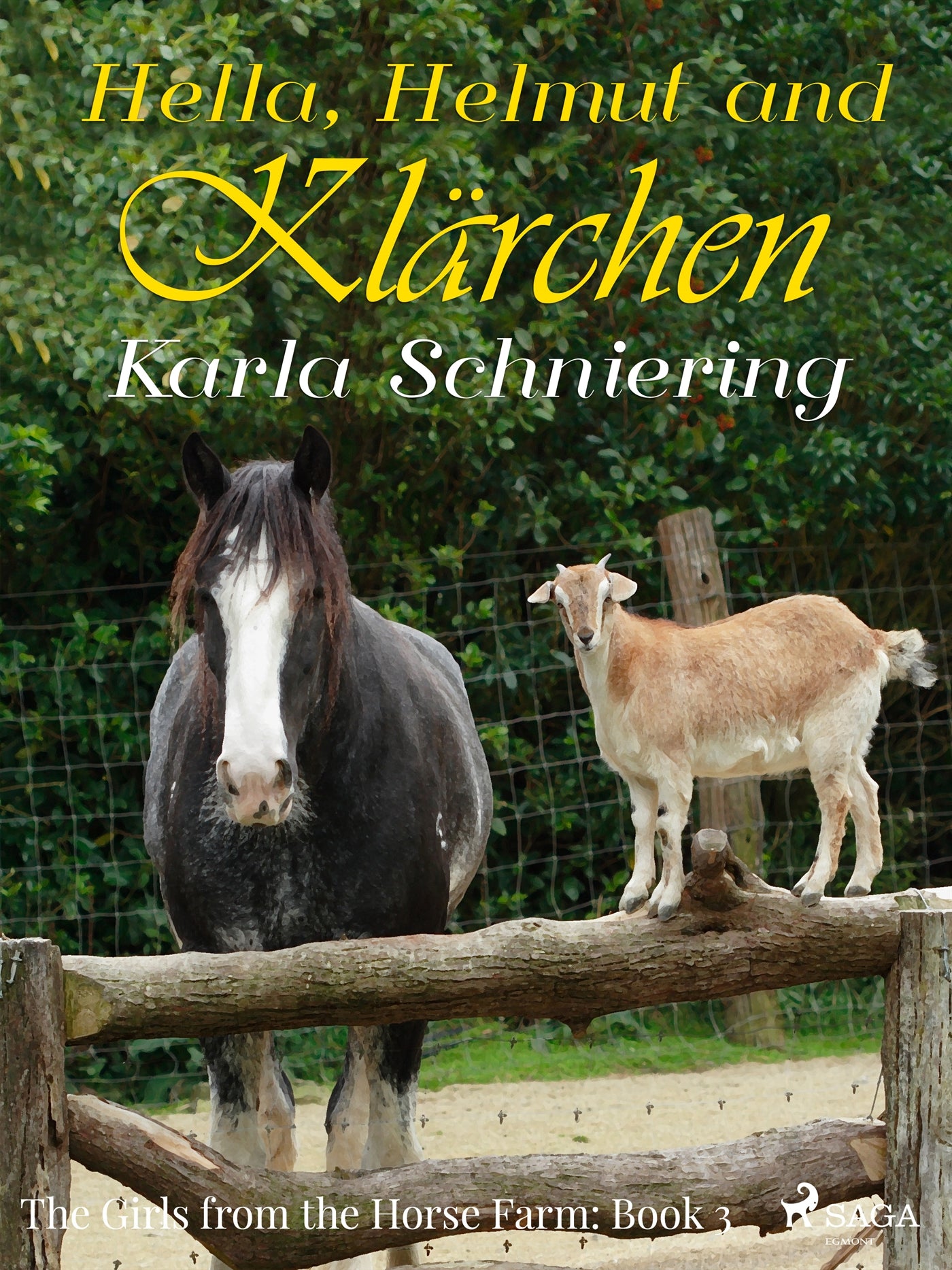 The Girls from the Horse Farm 3 - Hella, Helmut, and Klärchen – E-bok