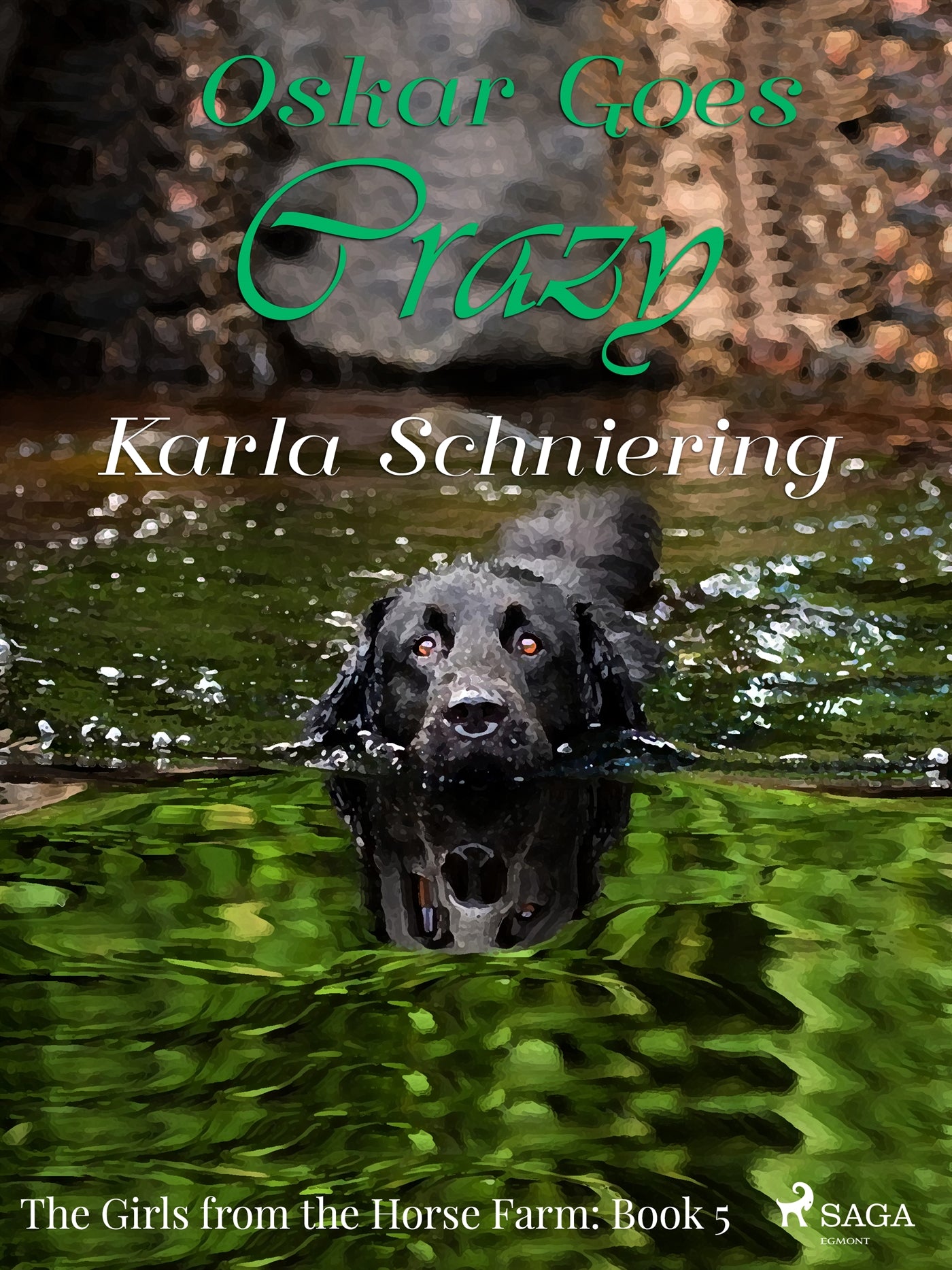 The Girls from the Horse Farm 5 - Oskar Goes Crazy – E-bok
