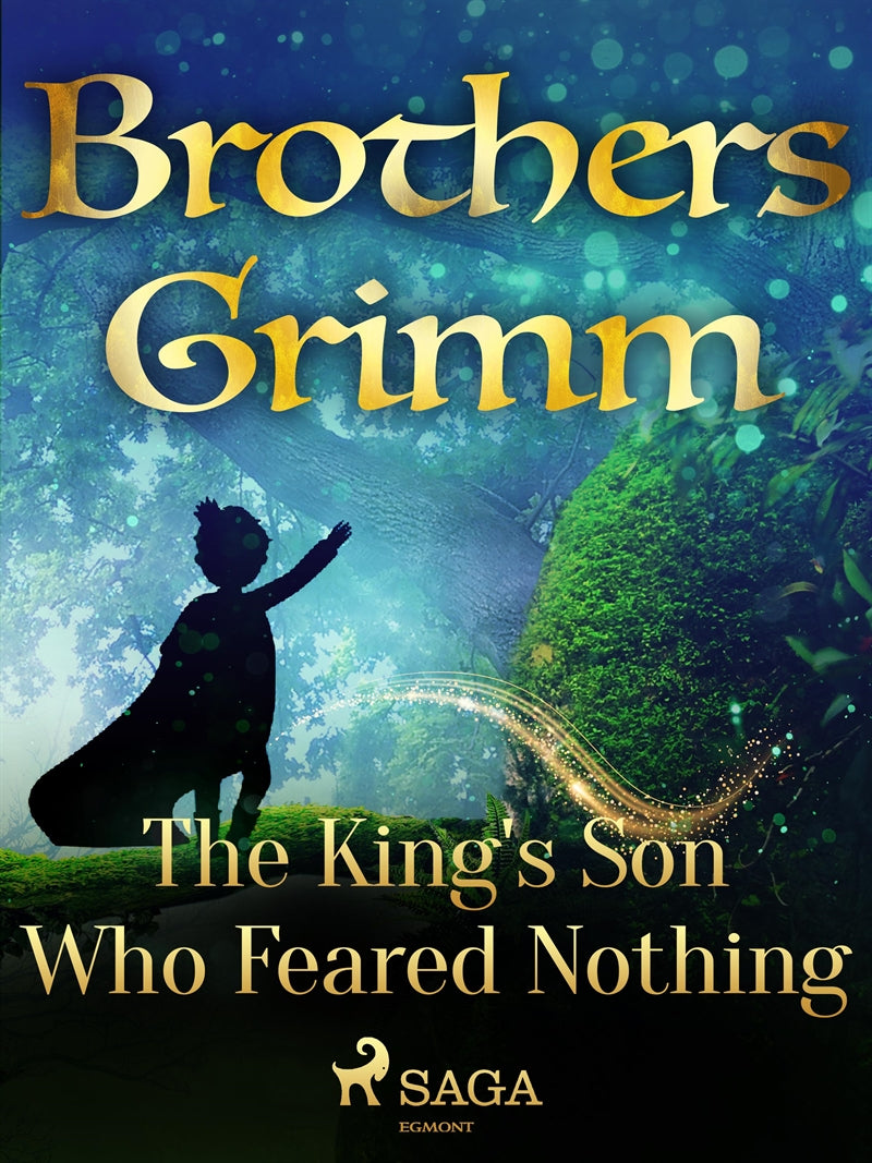 The King's Son Who Feared Nothing – E-bok