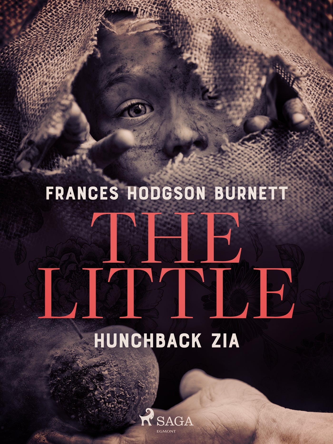The Little Hunchback Zia – E-bok