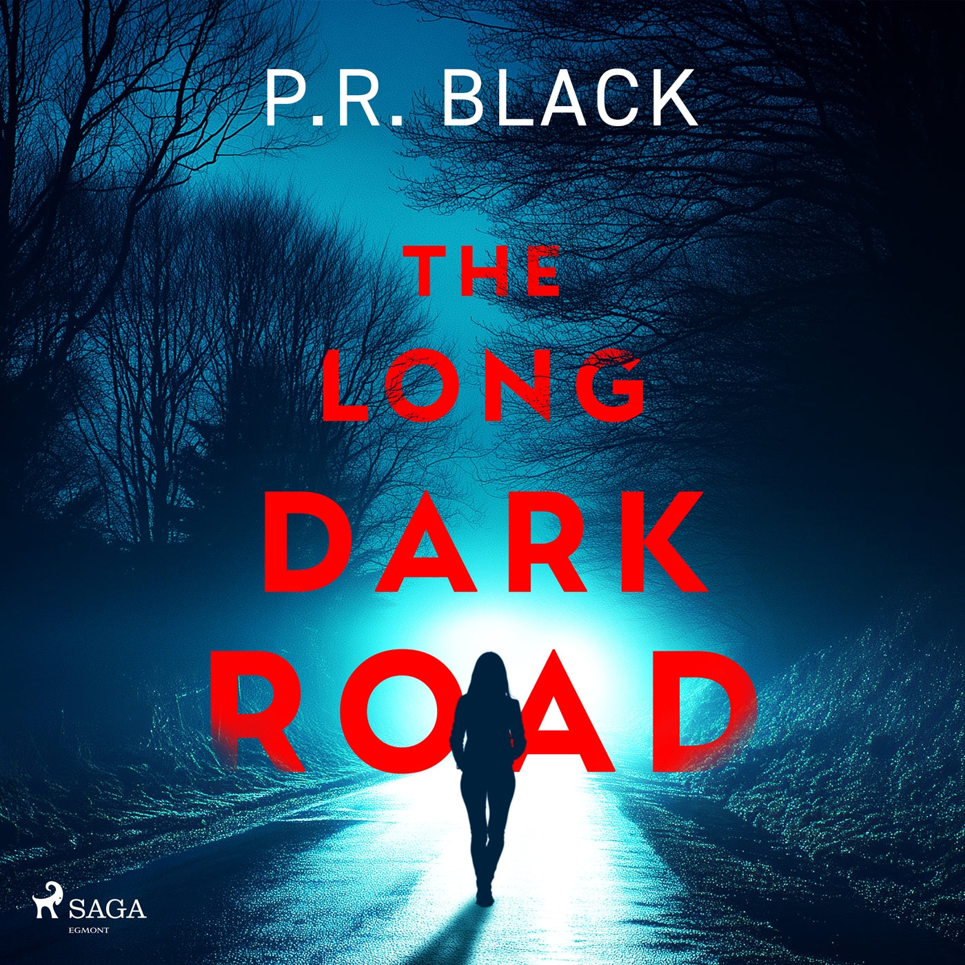 The Long Dark Road: A gripping, atmospheric thriller about how far a mother will go – Ljudbok