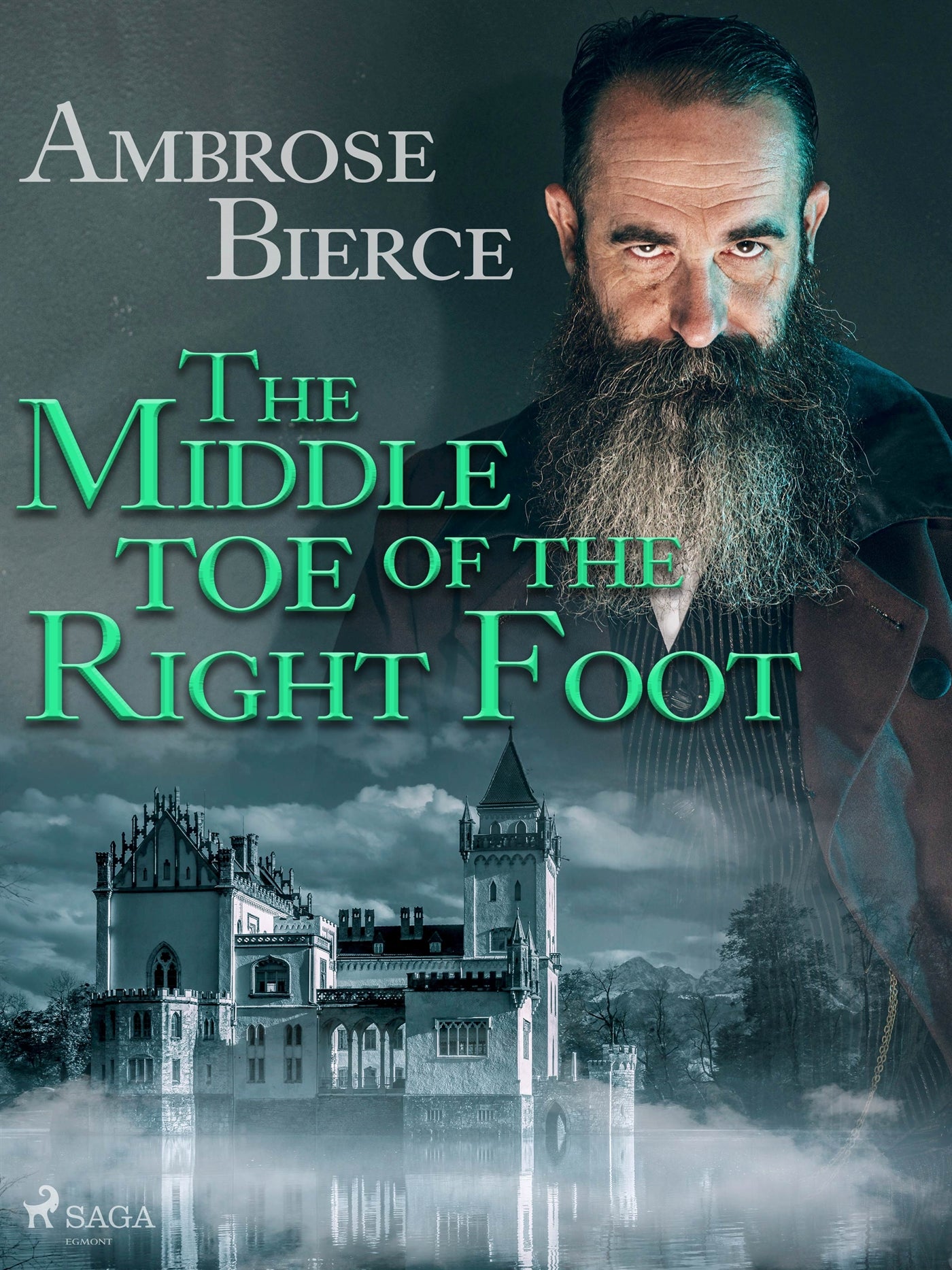 The Middle Toe of the Right Foot – E-bok