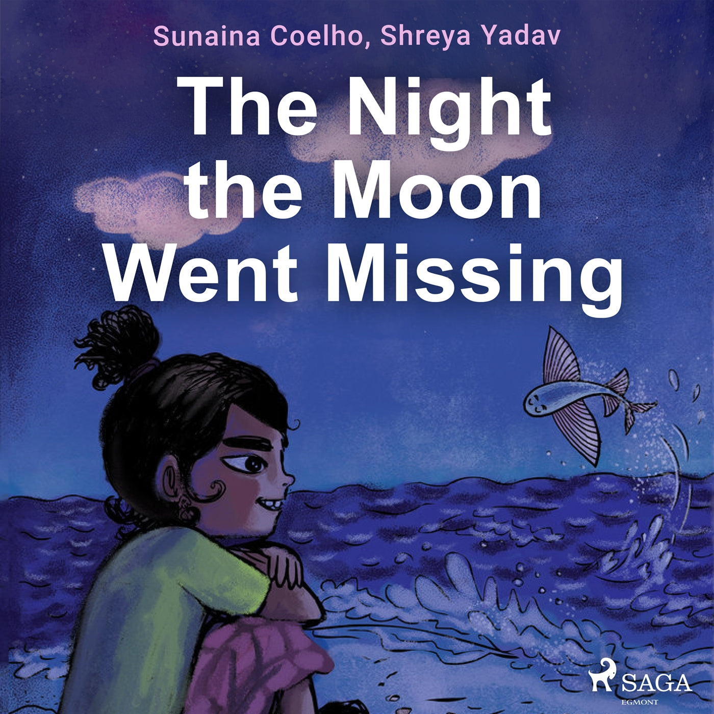 The Night the Moon Went Missing – Ljudbok