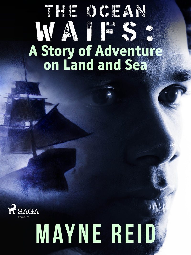 The Ocean Waifs: A Story of Adventure on Land and Sea – E-bok