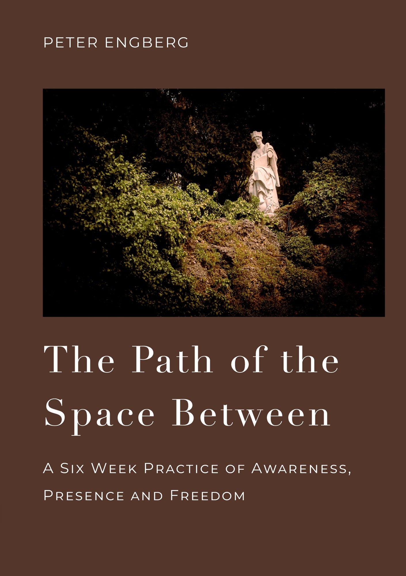 The Path of the Space Between: A Six Week Practice of Awareness, Presence and Freedom – E-bok