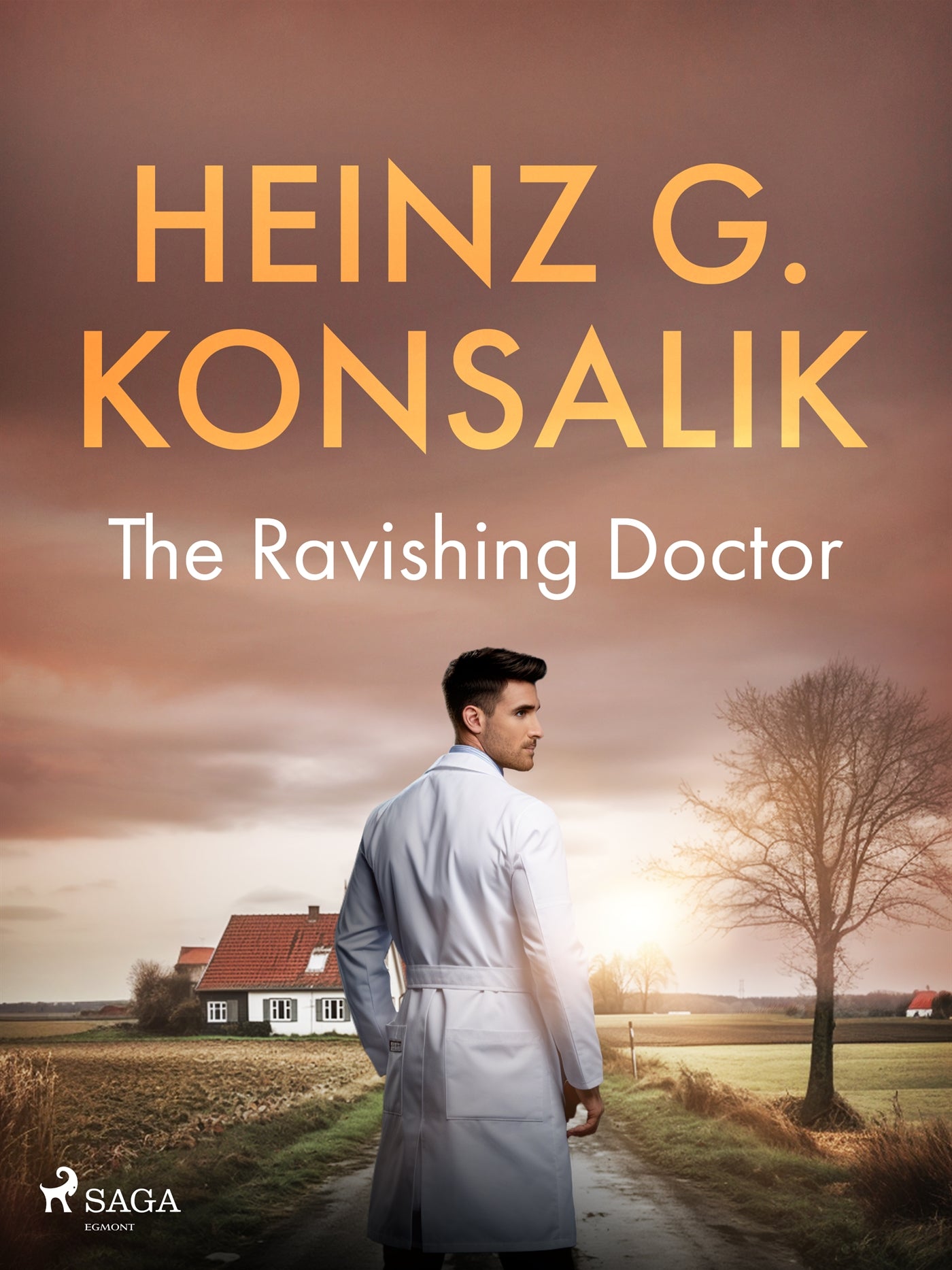 The Ravishing Doctor – E-bok