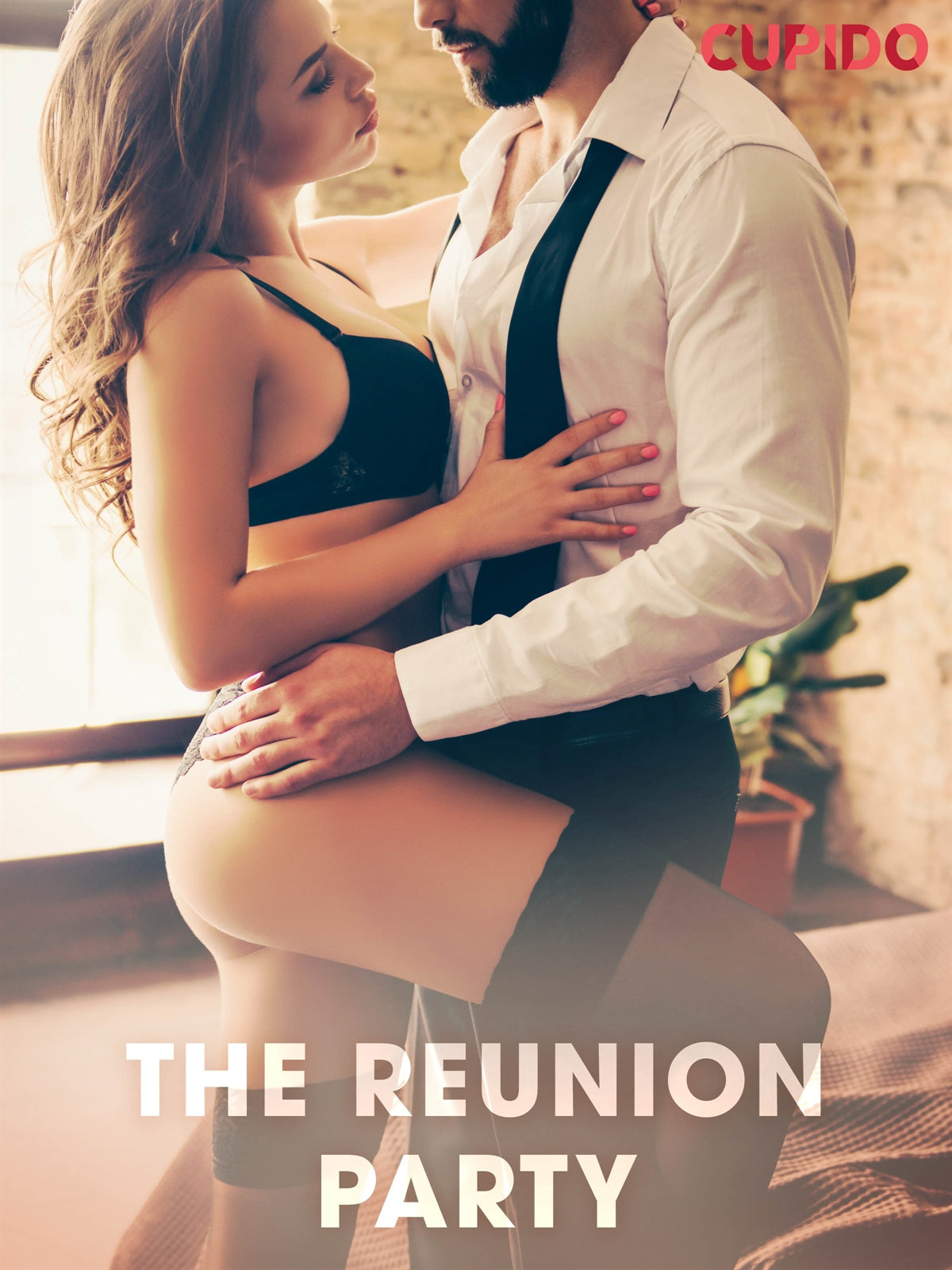 The Reunion Party – E-bok