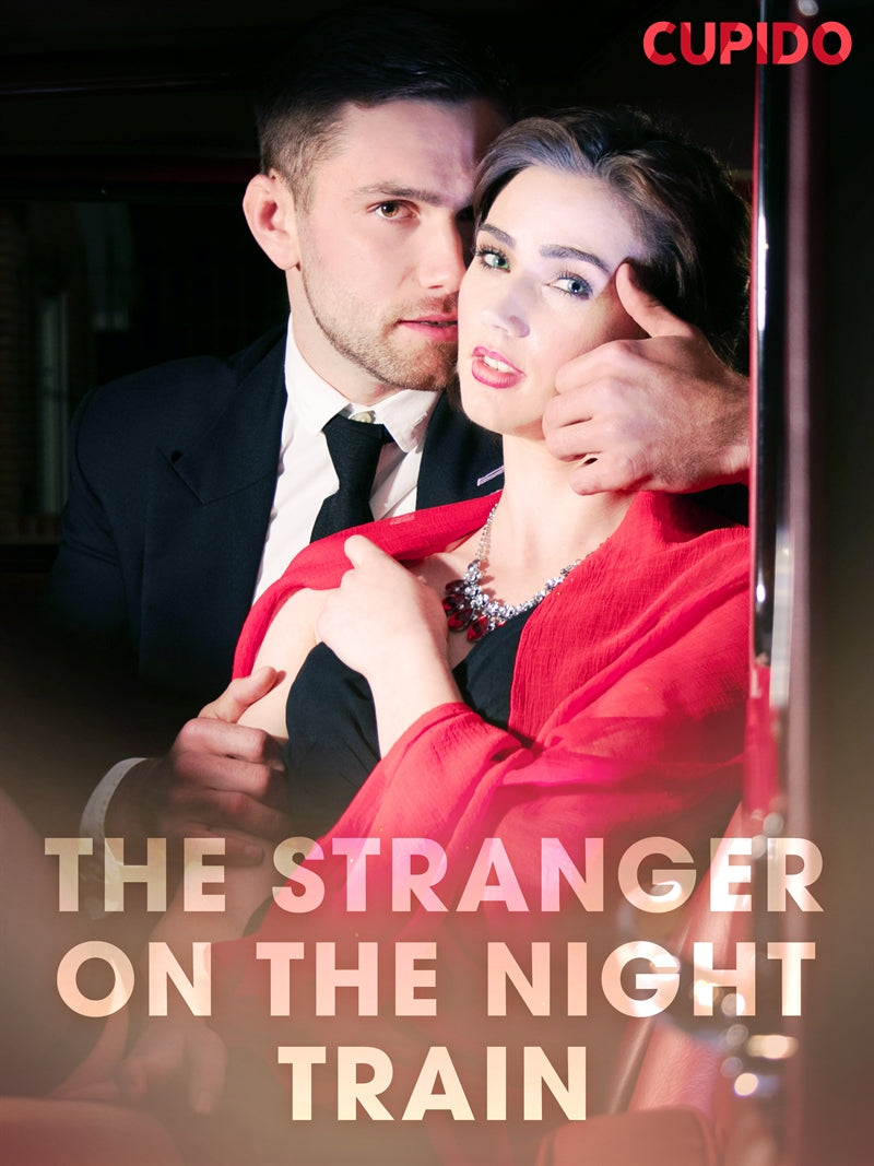 The Stranger on the Night Train – E-bok