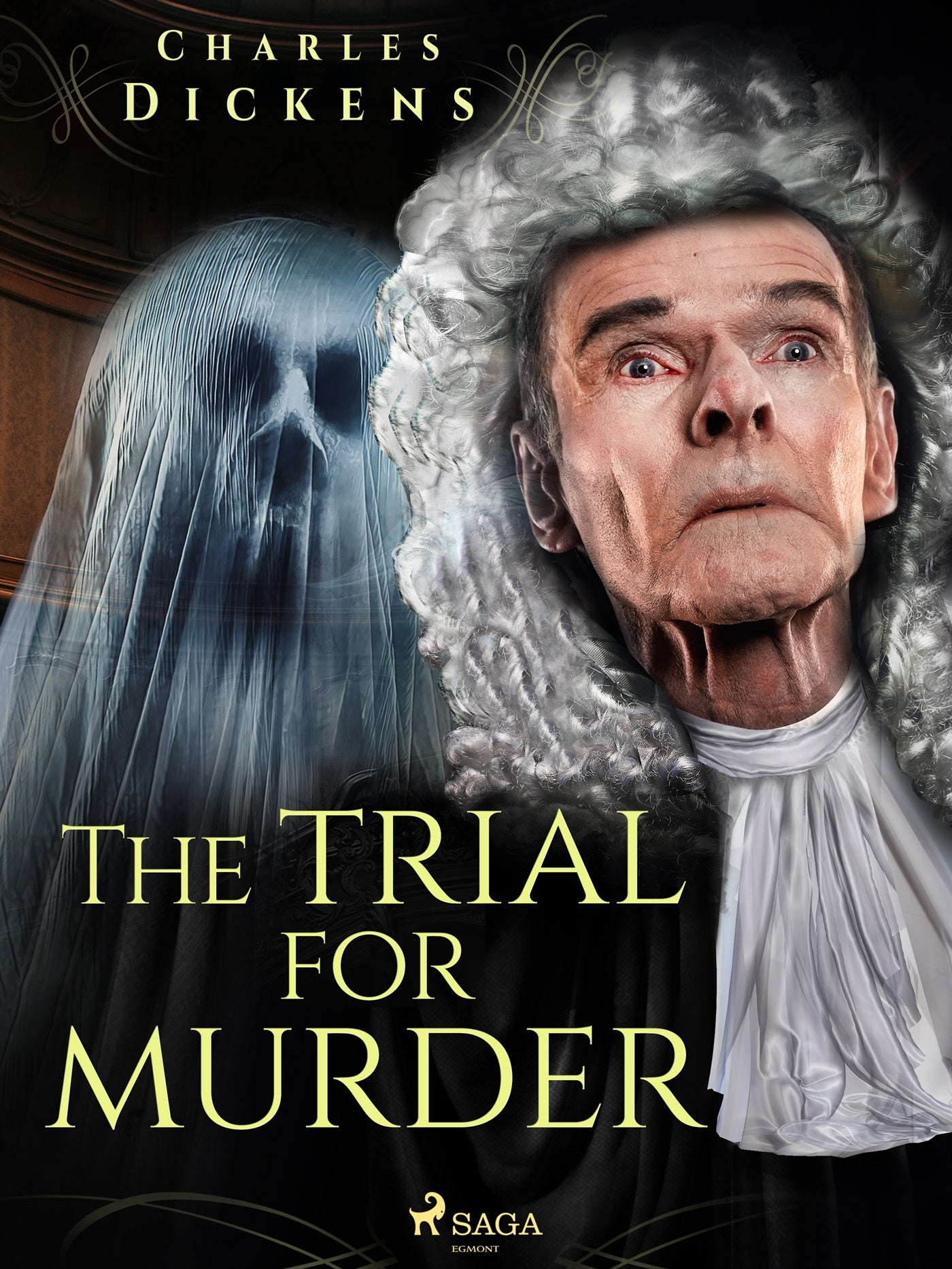The Trial for Murder – E-bok