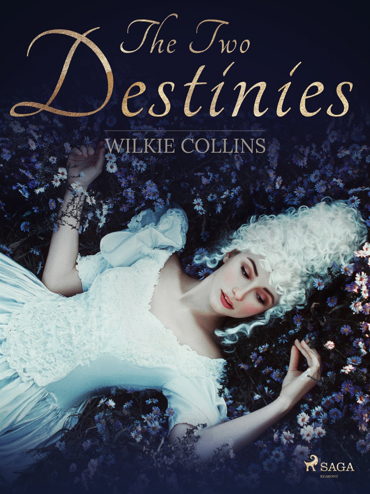The Two Destinies – E-bok