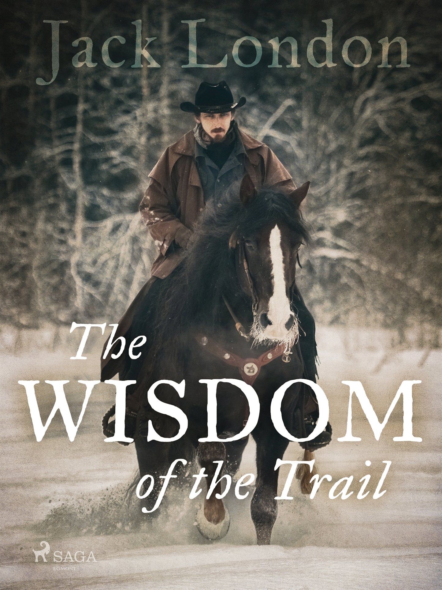 The Wisdom of the Trail – E-bok