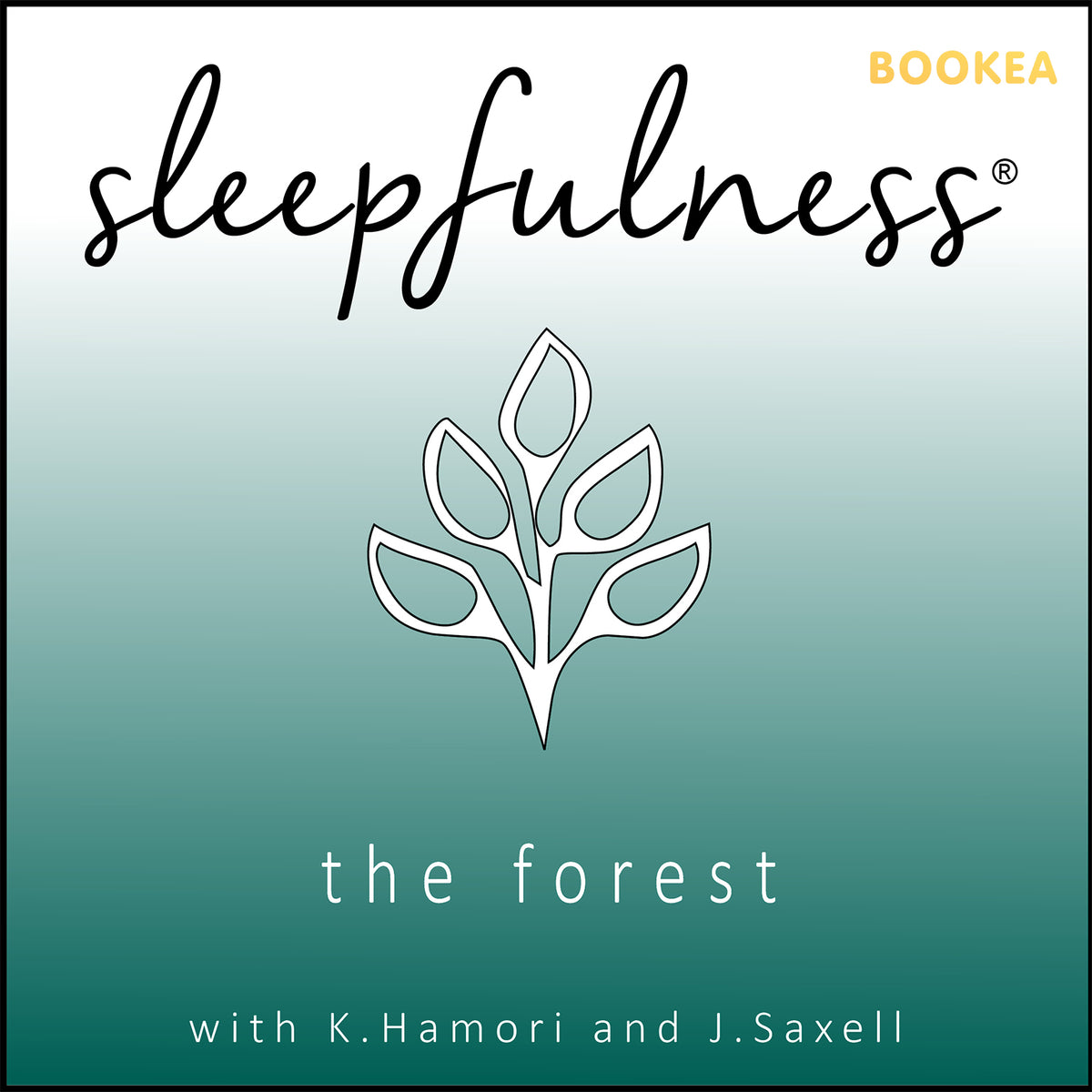 The forest - guided relaxation – Ljudbok