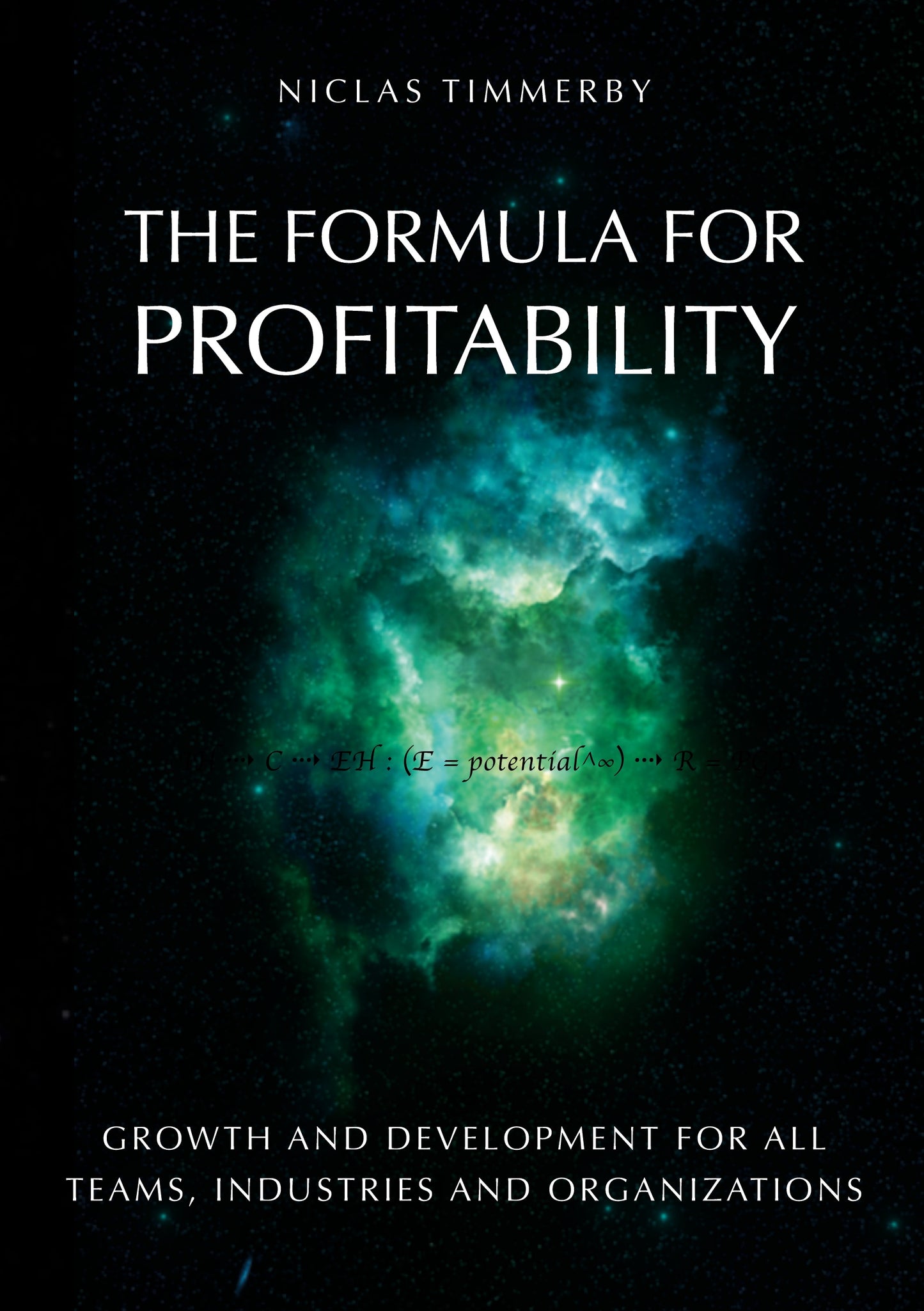 The formula for profitability, growth and development: For all teams, industries and organizations – E-bok