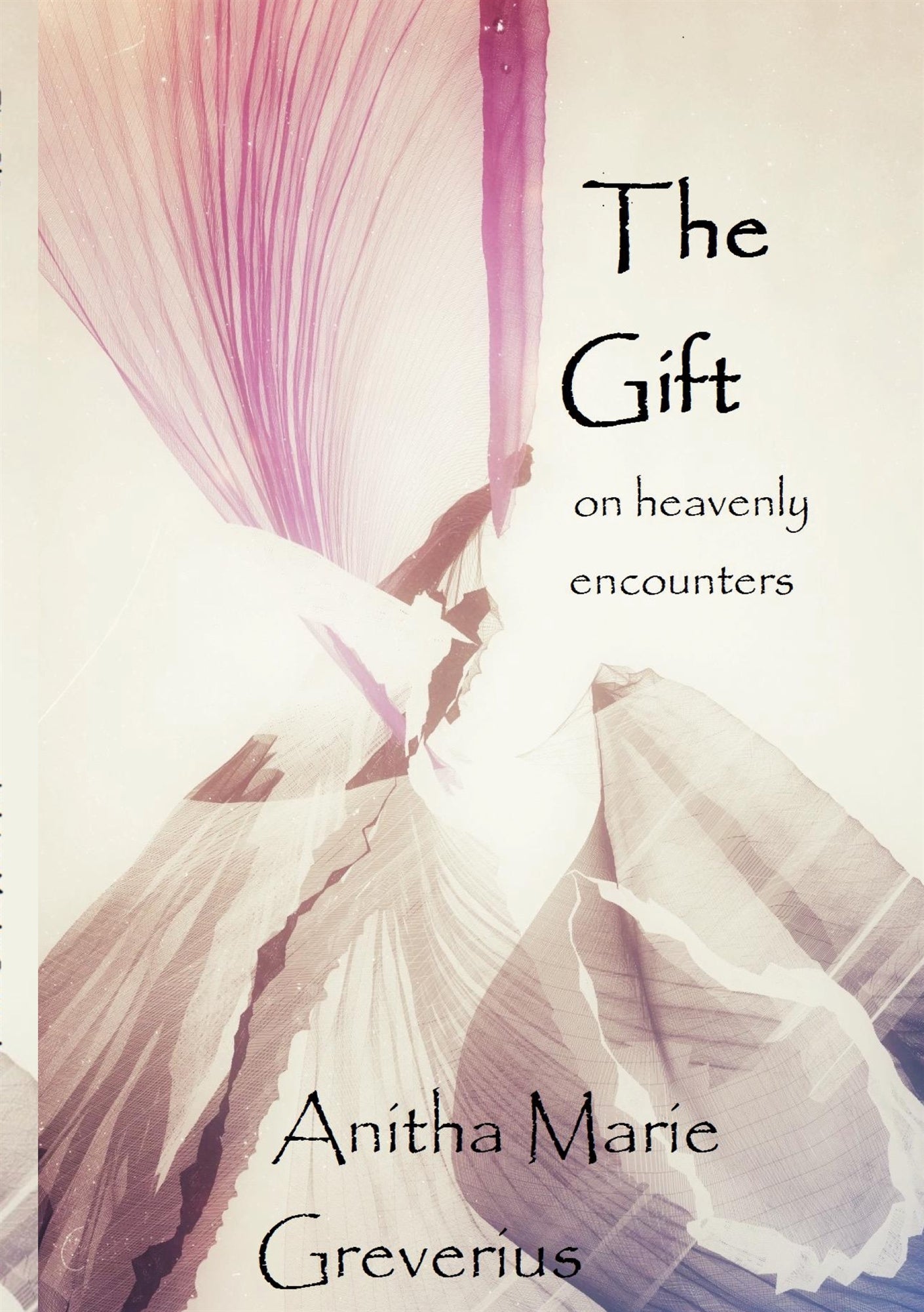The gift – E-bok