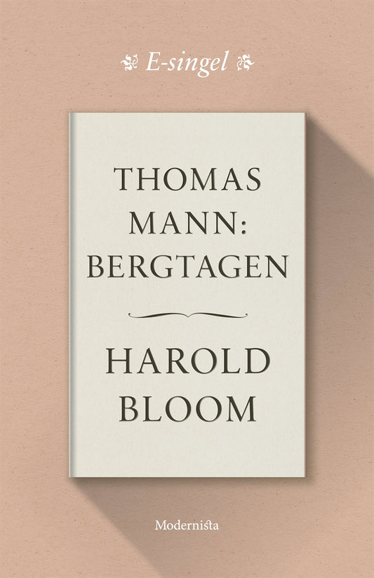 Thomas Mann: Bergtagen – E-bok