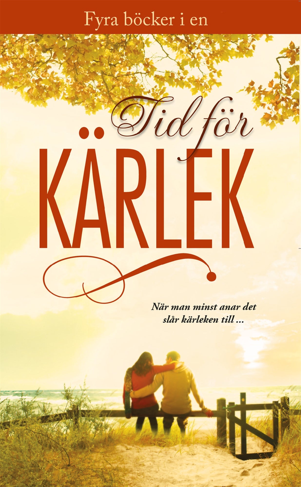 Tid för kärlek – E-bok