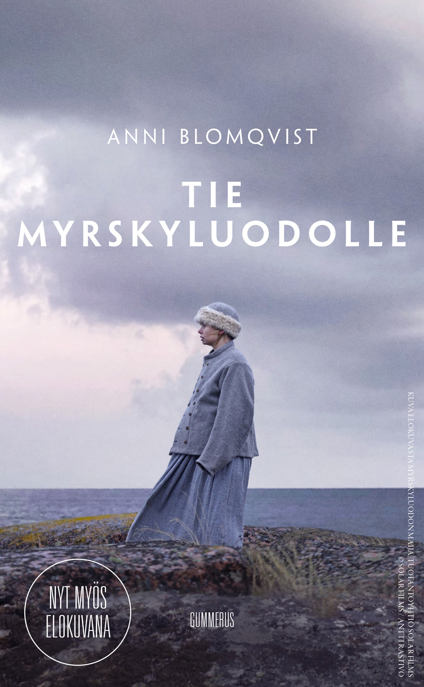 Tie Myrskyluodolle – E-bok